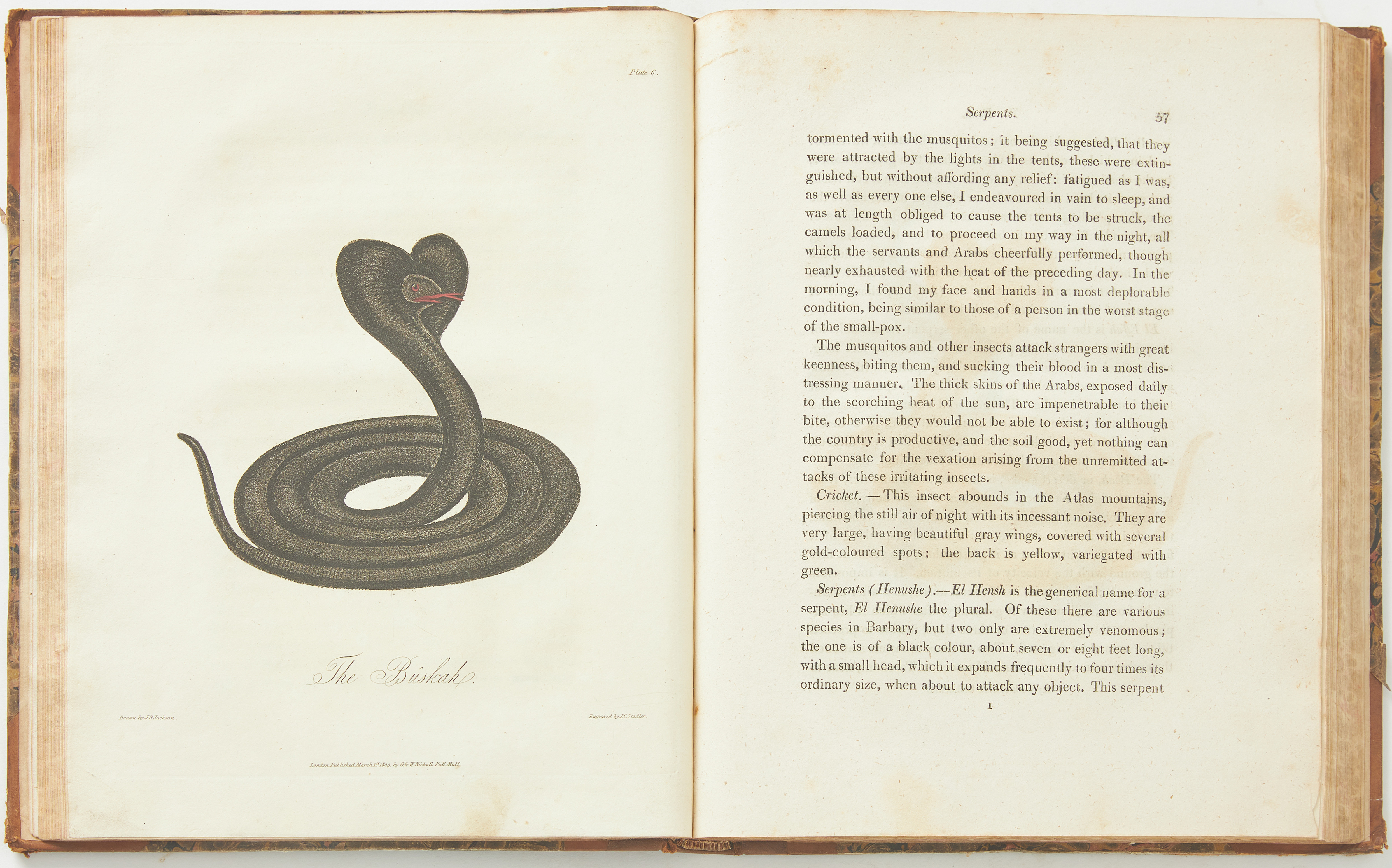 JACKSON ON MOROCCO, An Account of the Empire of Marocco, 1809.