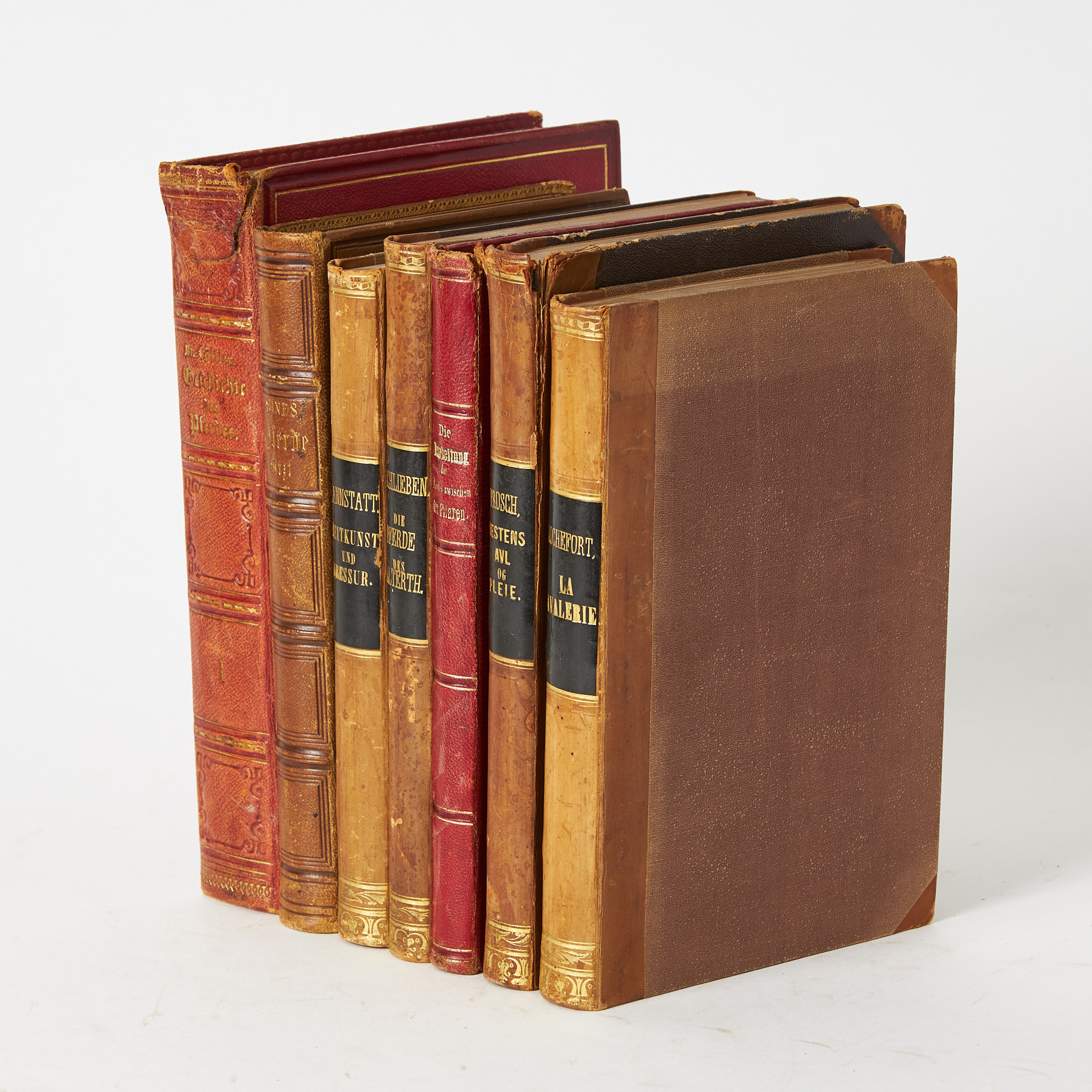 HIPPOLOGY, 7 volumes, 19th century, Sind, Pferde-Arzt, 1852, Geschichte des Pferdes, 1863, Reitkunst und Dressur, 1866, a.o.