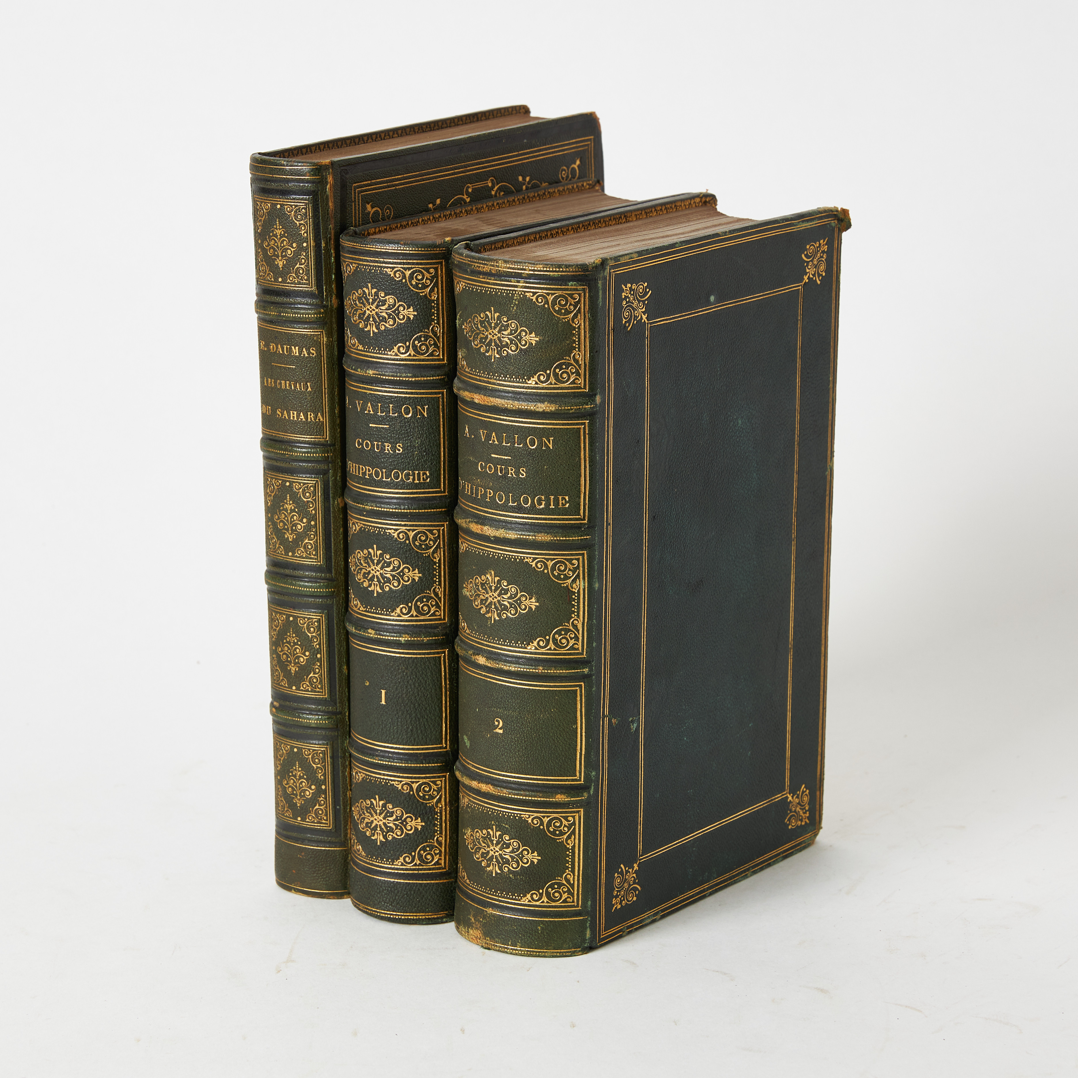 HIPPOLOGY, Les chevaux du Sahara and Cours d'hippologie, 3 volumes.