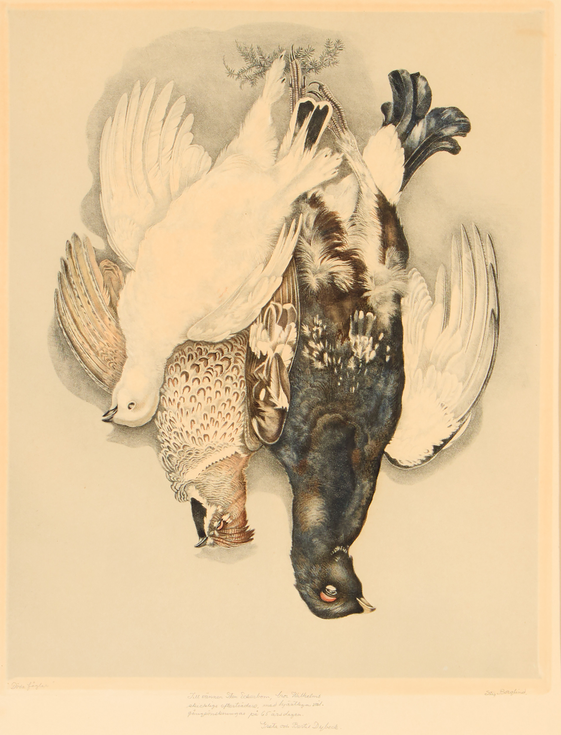 STIG BORGLIND. "Döda fåglar", 1937.