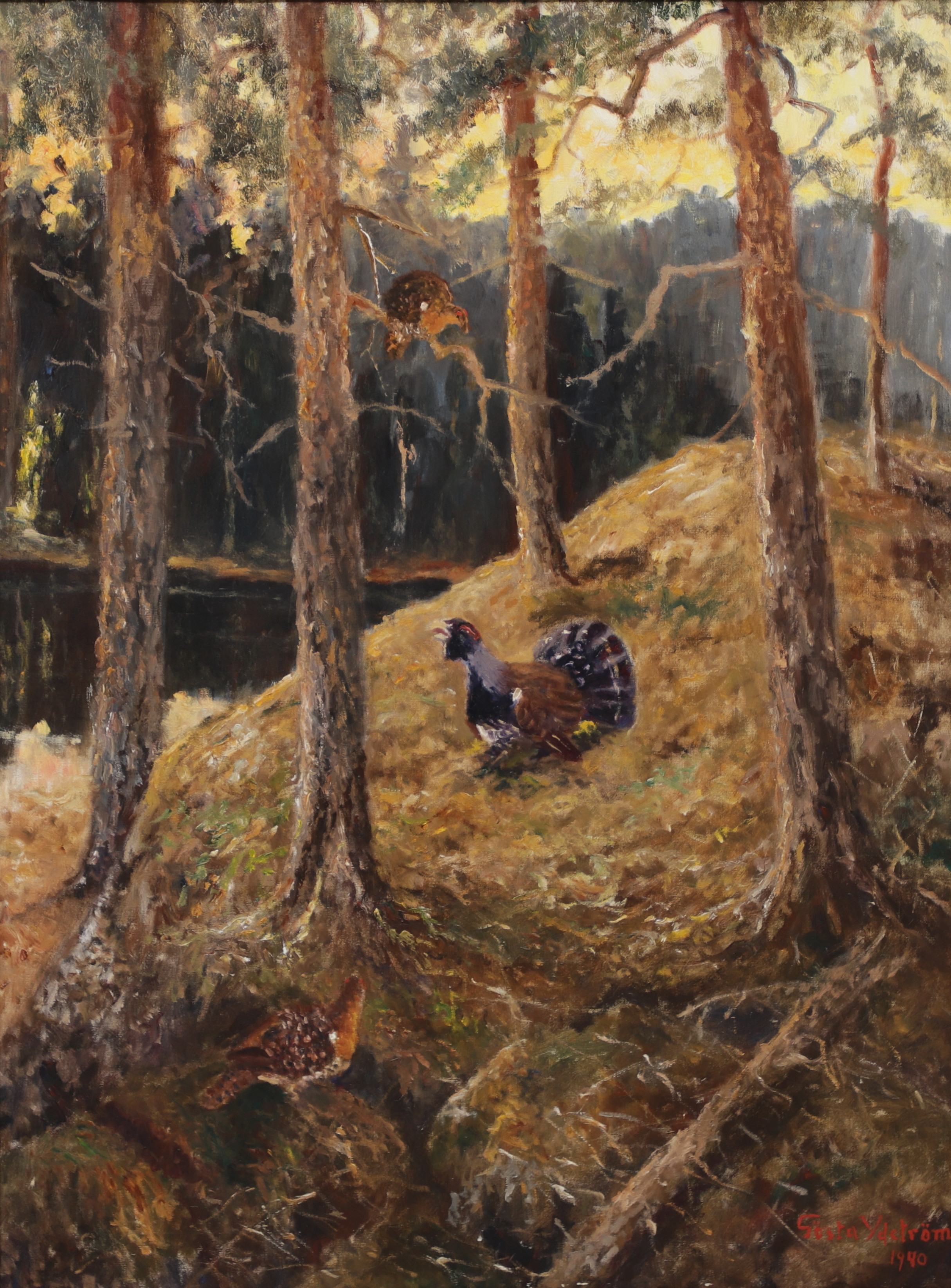 GÖSTA YDSTRÖM. Tjäder i skog, olja på duk, signerad och daterad 1940.