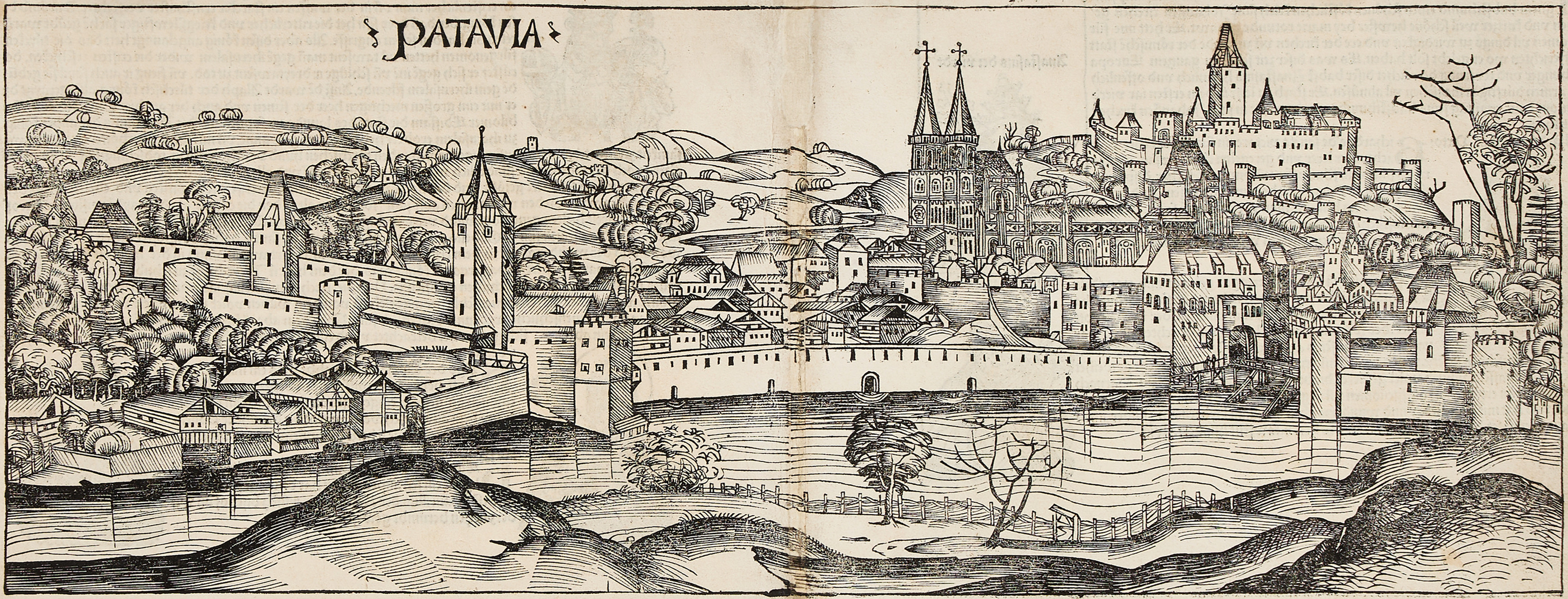 SCHEDEL, Patavia (Passau), 1493.