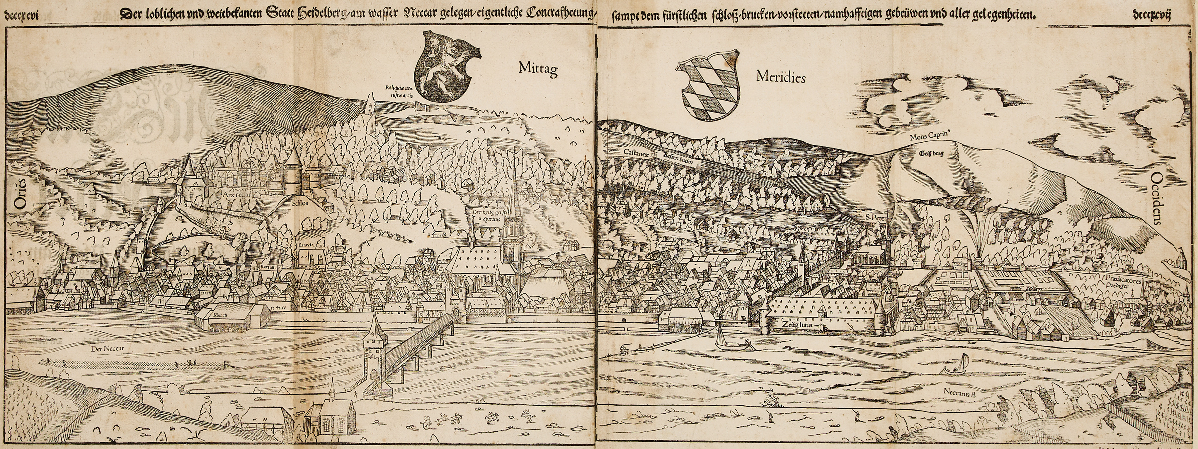 MÜNSTER, Der loblichen und weitbekanten Stadt Heidelberg, ca 1550-1578.