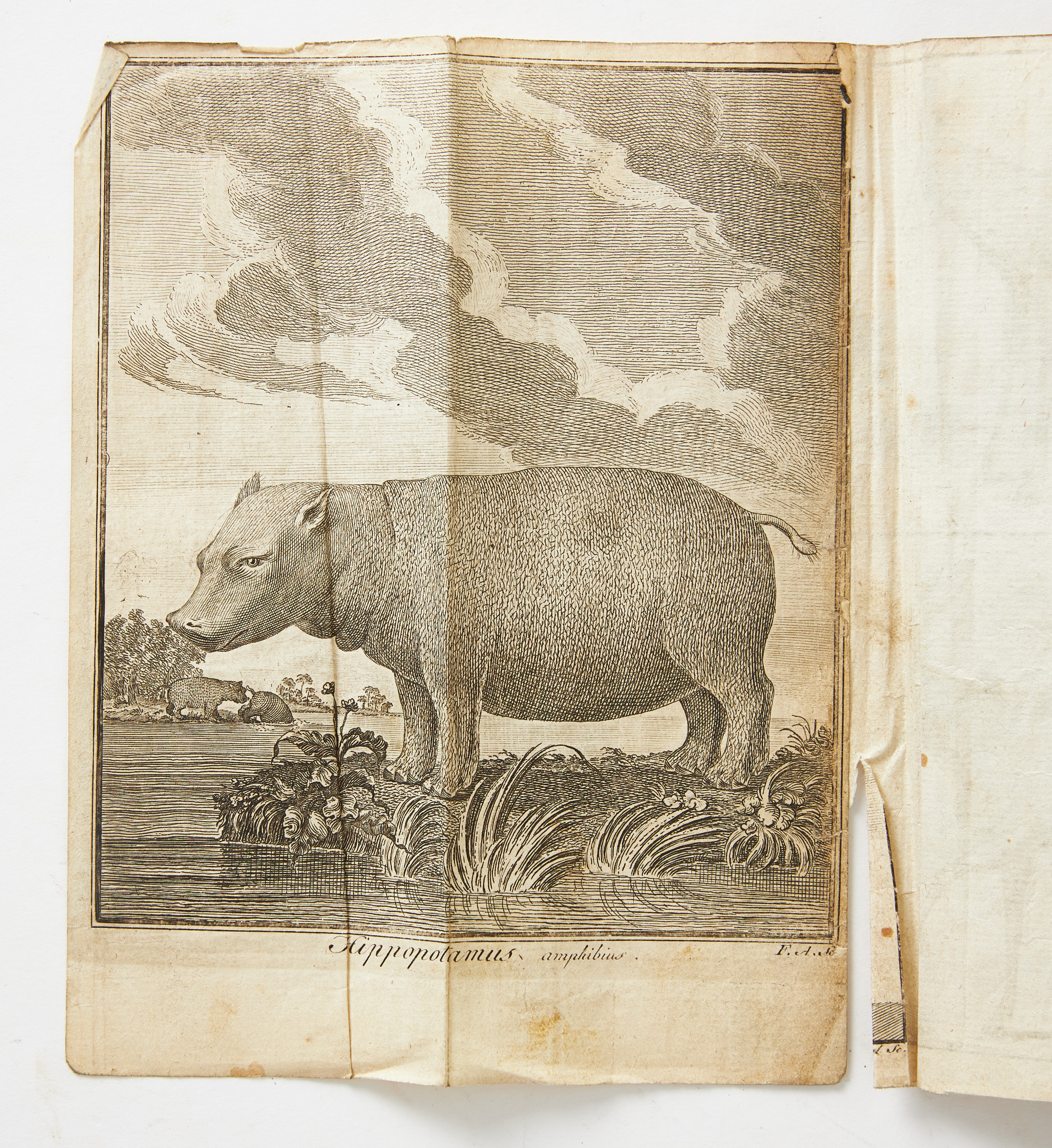 FÖRSTA DELEN AV ANDERS SPARRMANS RESA TILL GODA HOPPS-UDDEN, 1783 med 9 graverade planscher.
