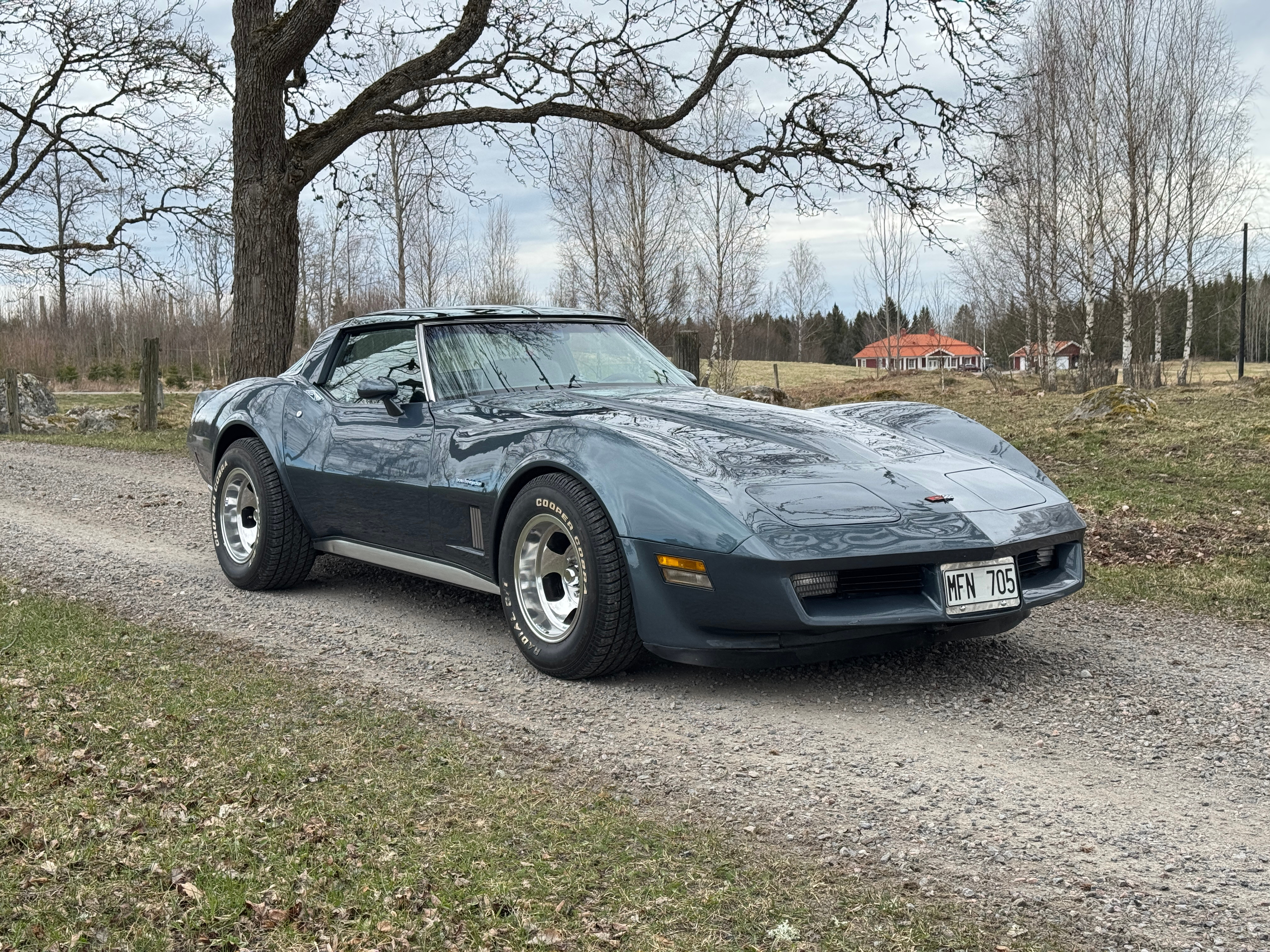 CHEVROLET CORVETTE, 5.7, 207hk, 1982, USA.