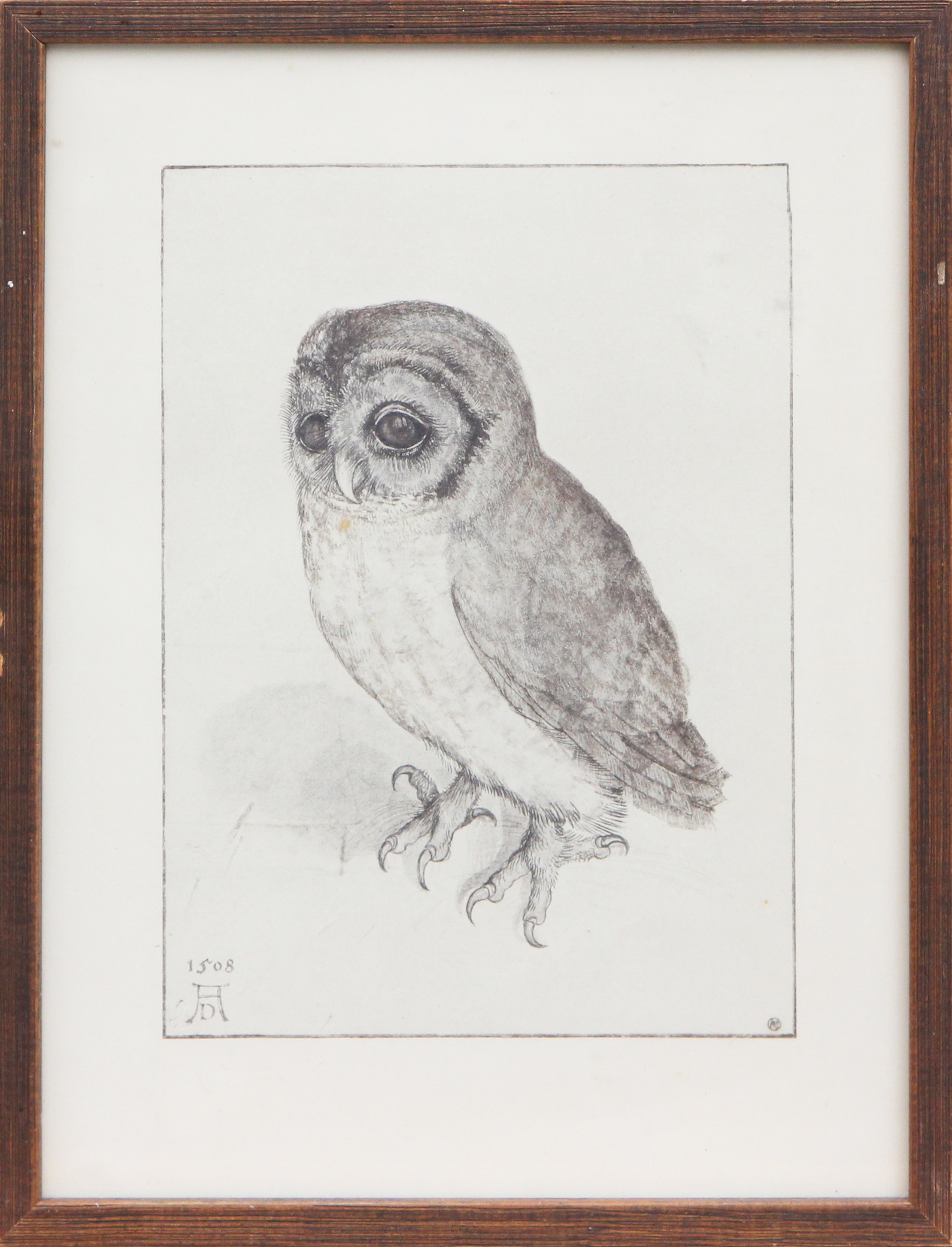 REPRODUKTIONSTRYCK, 2 st, efter Albrecht Dürer.