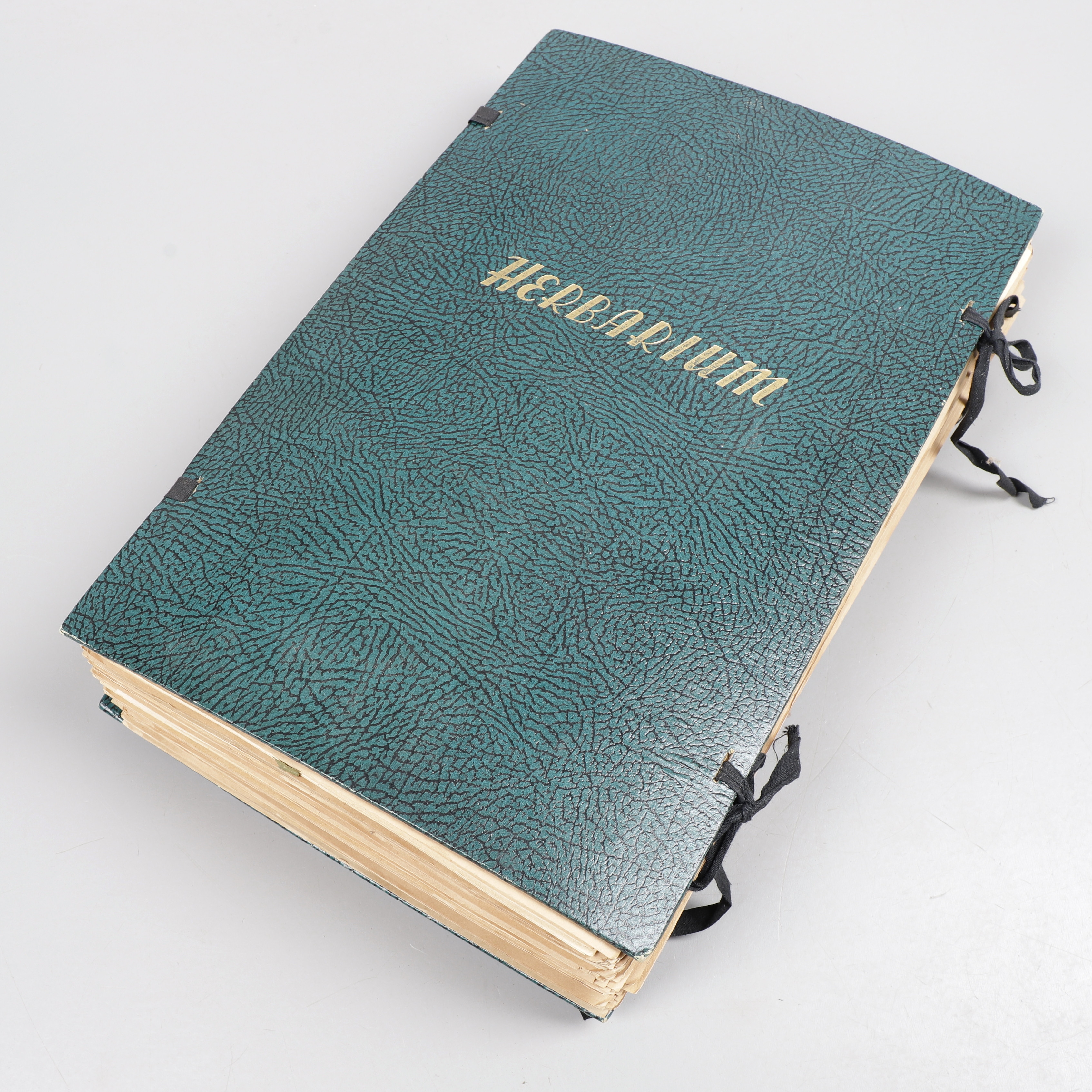HERBARIUM, 1940-tal.