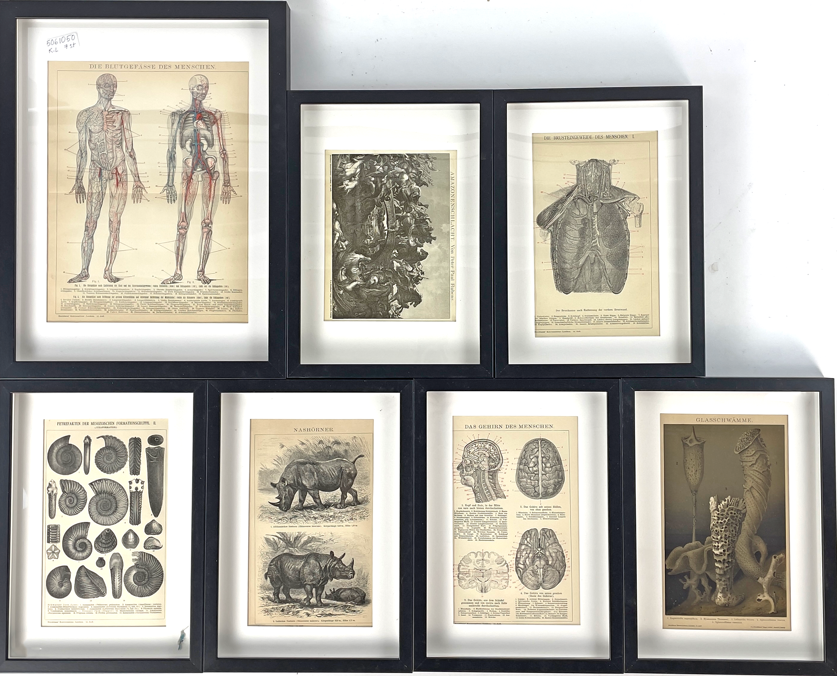 INRAMADE URKLIPP, 7 st, bl.a. anatomiska, ur Brockhaus' Konversations-Lexikon, Tyskland.
