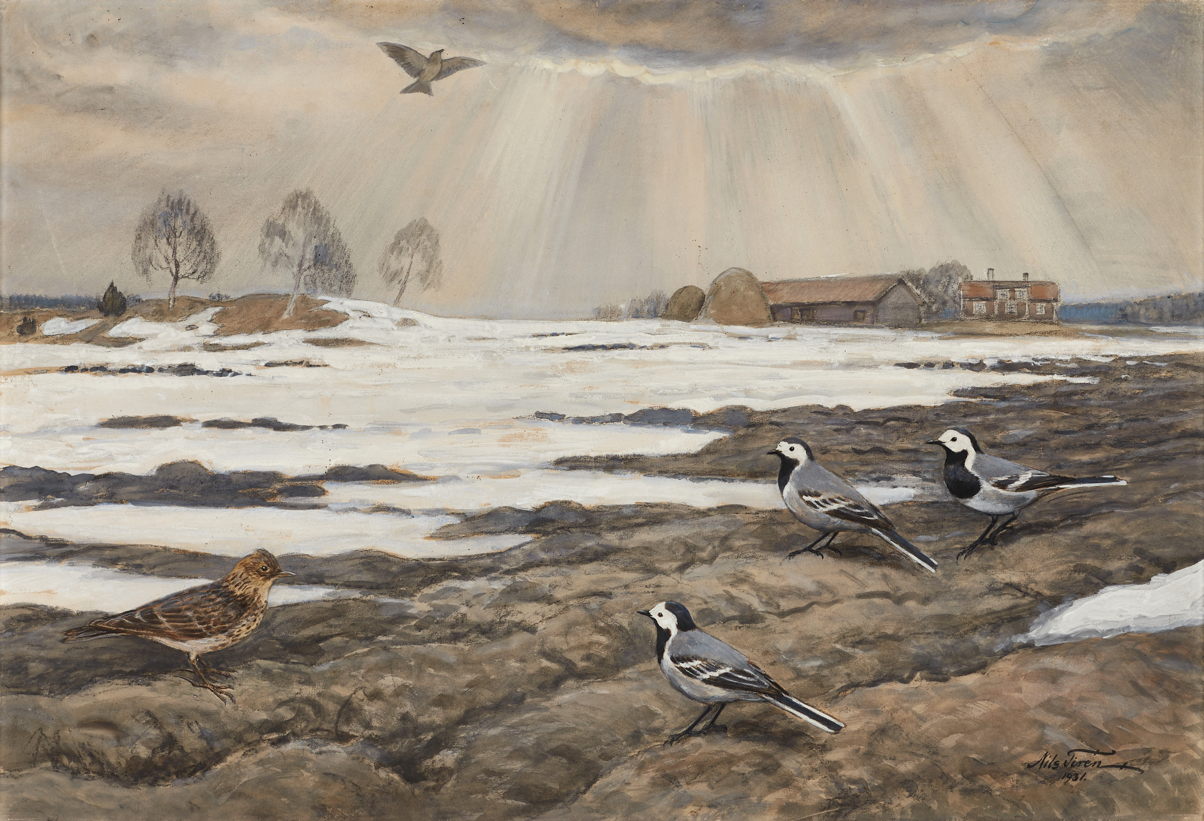 NILS TIRÉN (1885-1935). Sädesärlor i vinterlandskap, signerad och daterad 1931, gouache och täckvitt på pappannå.