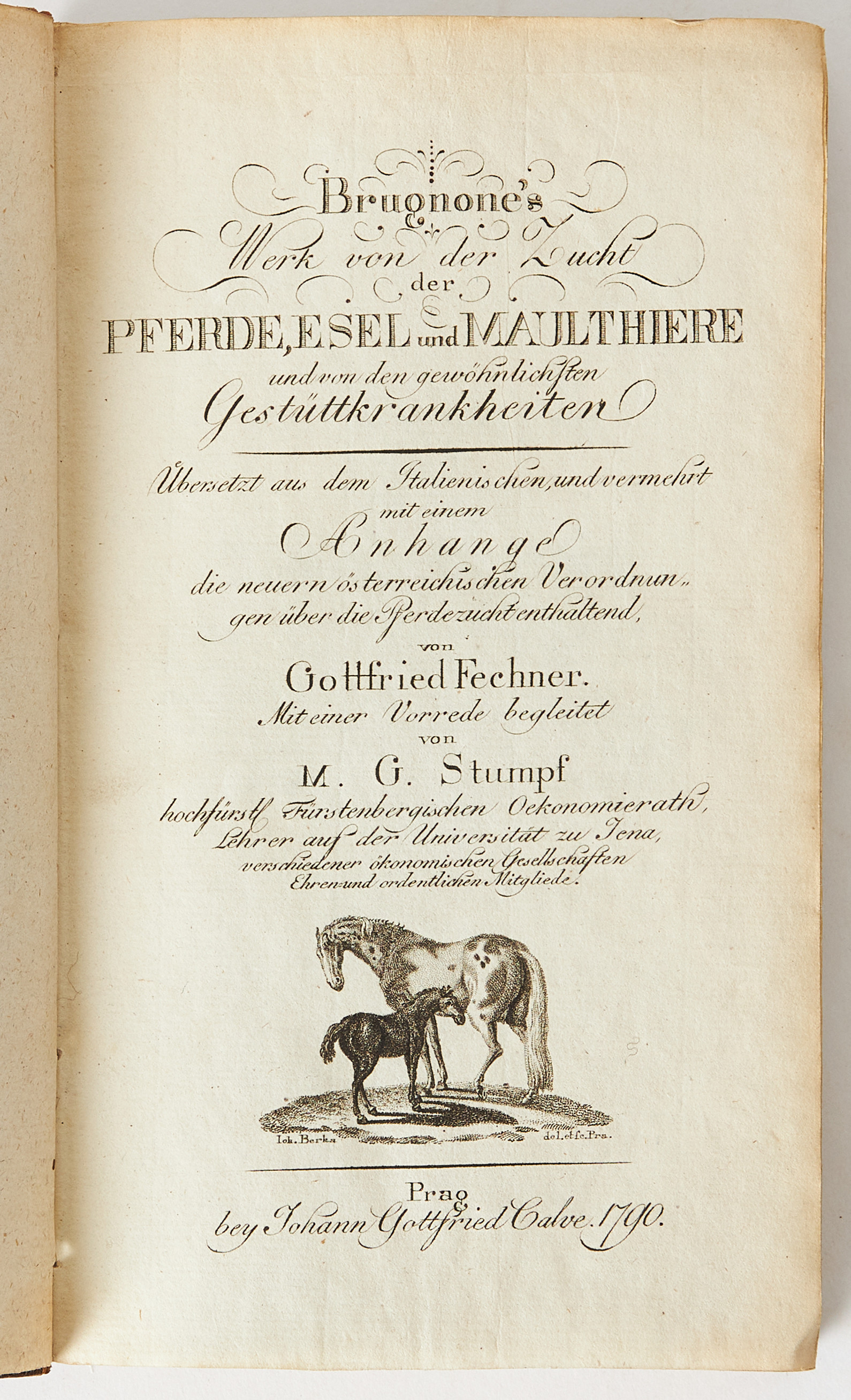 HIPPOLOGI - BRUGNONE, Von der Zucht der Pferde, Esel und Maulthiere, 1790.