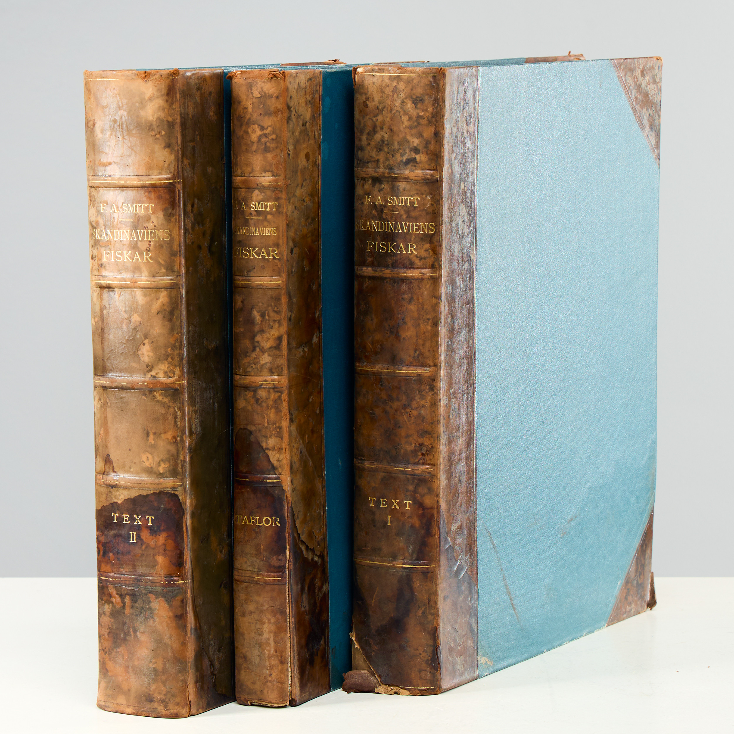 SKANDINAVIENS FISKAR AV WILHELM VON WRIGHT - SMITT, F. A., 3 VOLYMER.