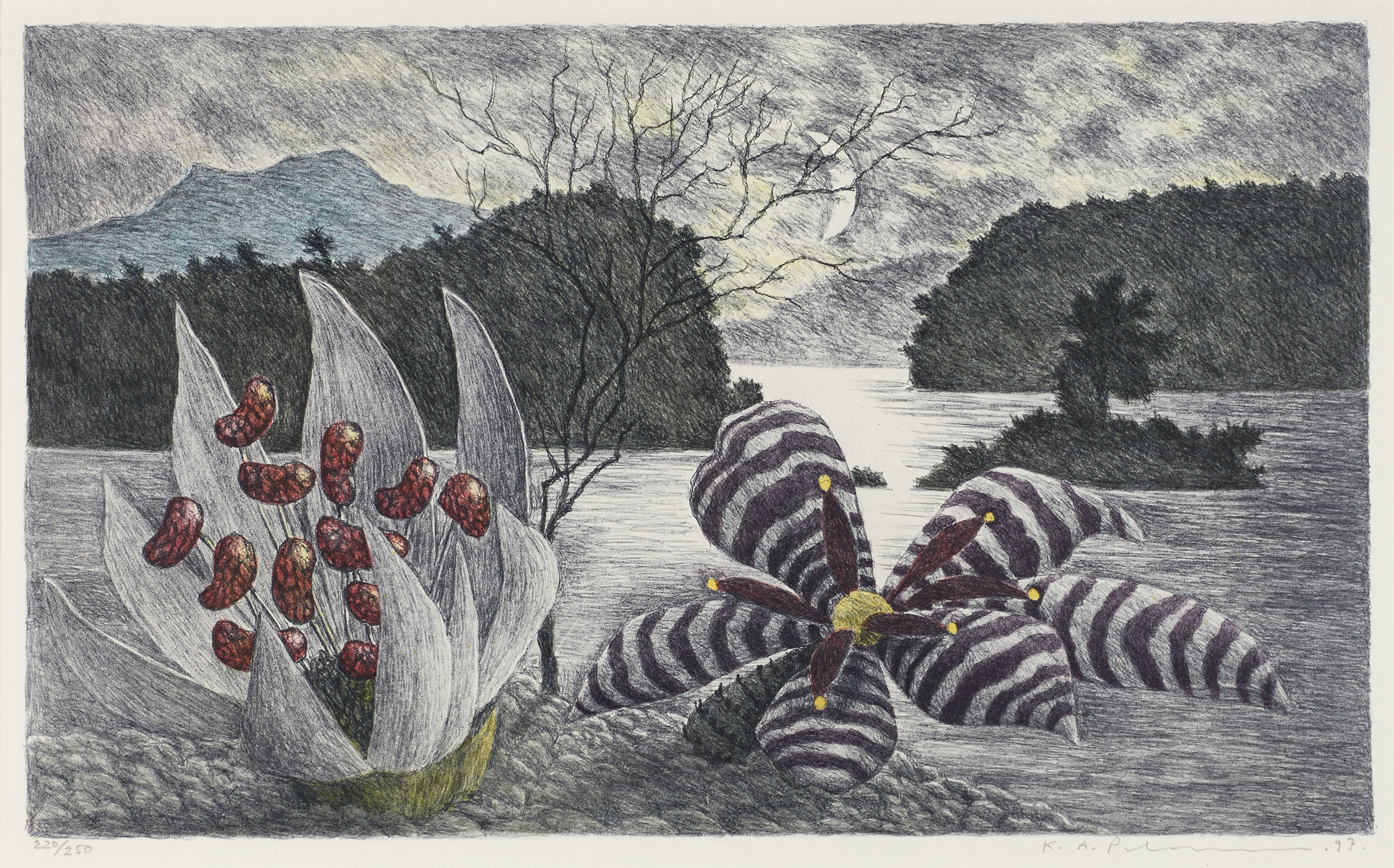 KARL AXEL PEHRSON (1921-2005): Exotiska växter, signerad K.A Pehrson, numrerad 220/250, daterad -97, färglitografi.