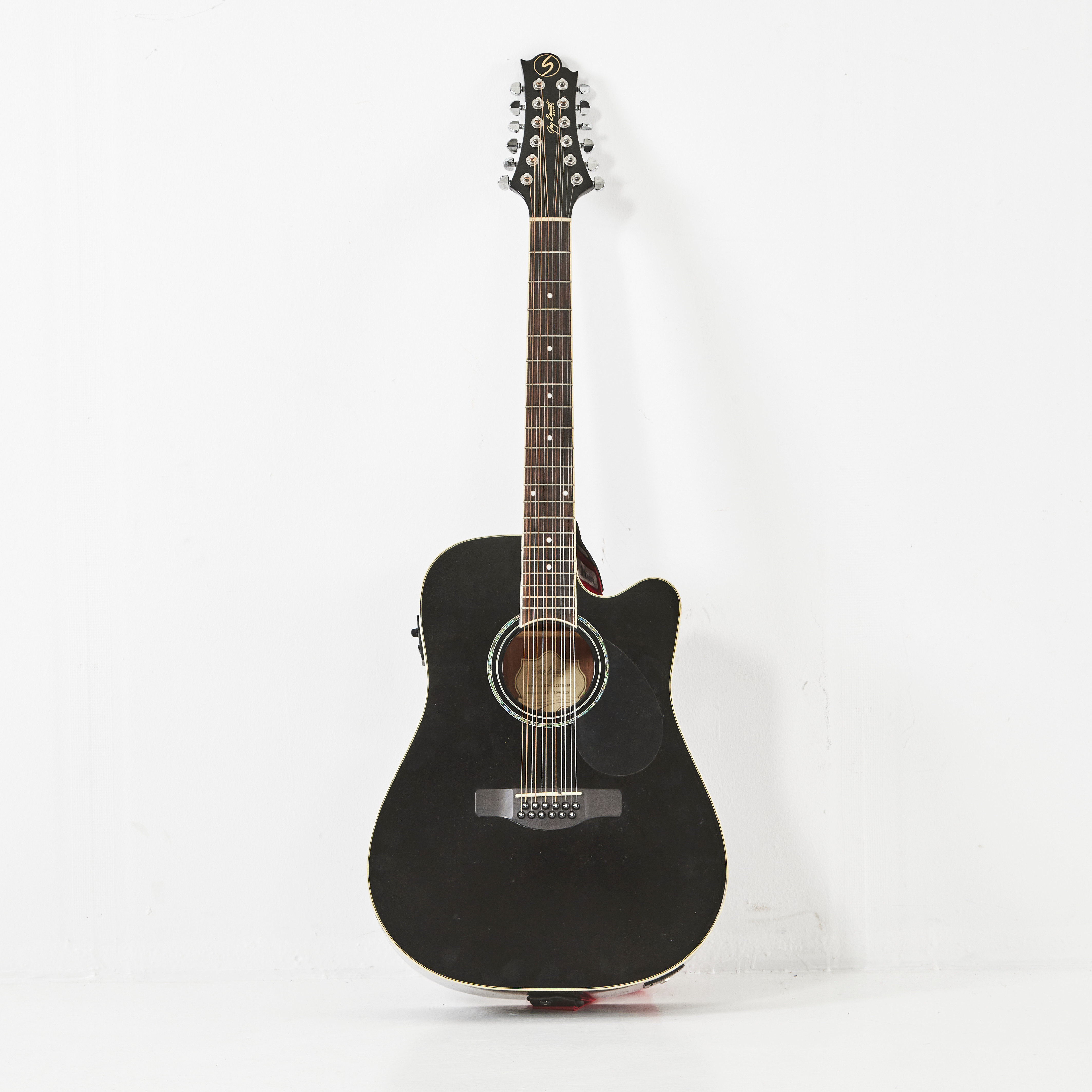 GITARR, Fishman, "Greg Bennett design".