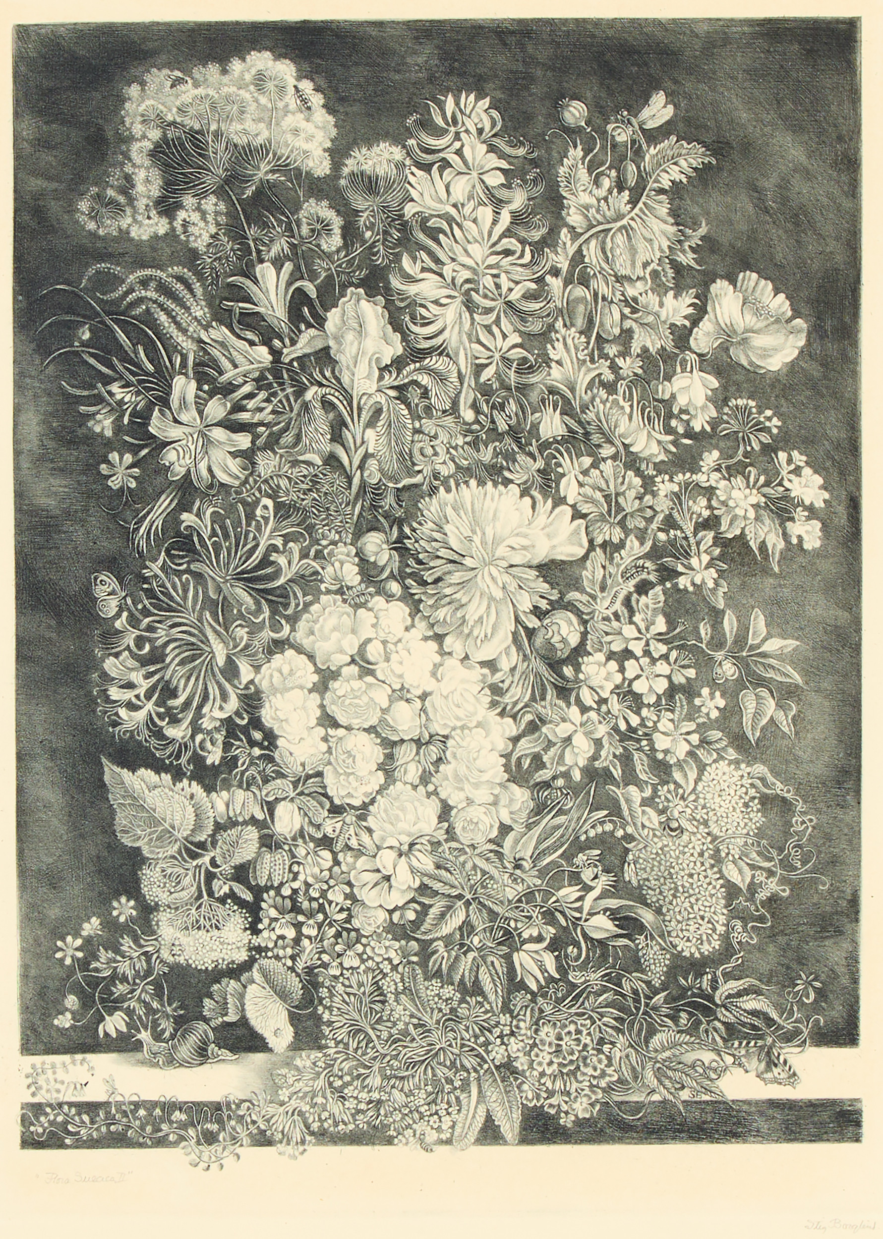STIG BORGLIND. "Flora Suecia II", 1939.