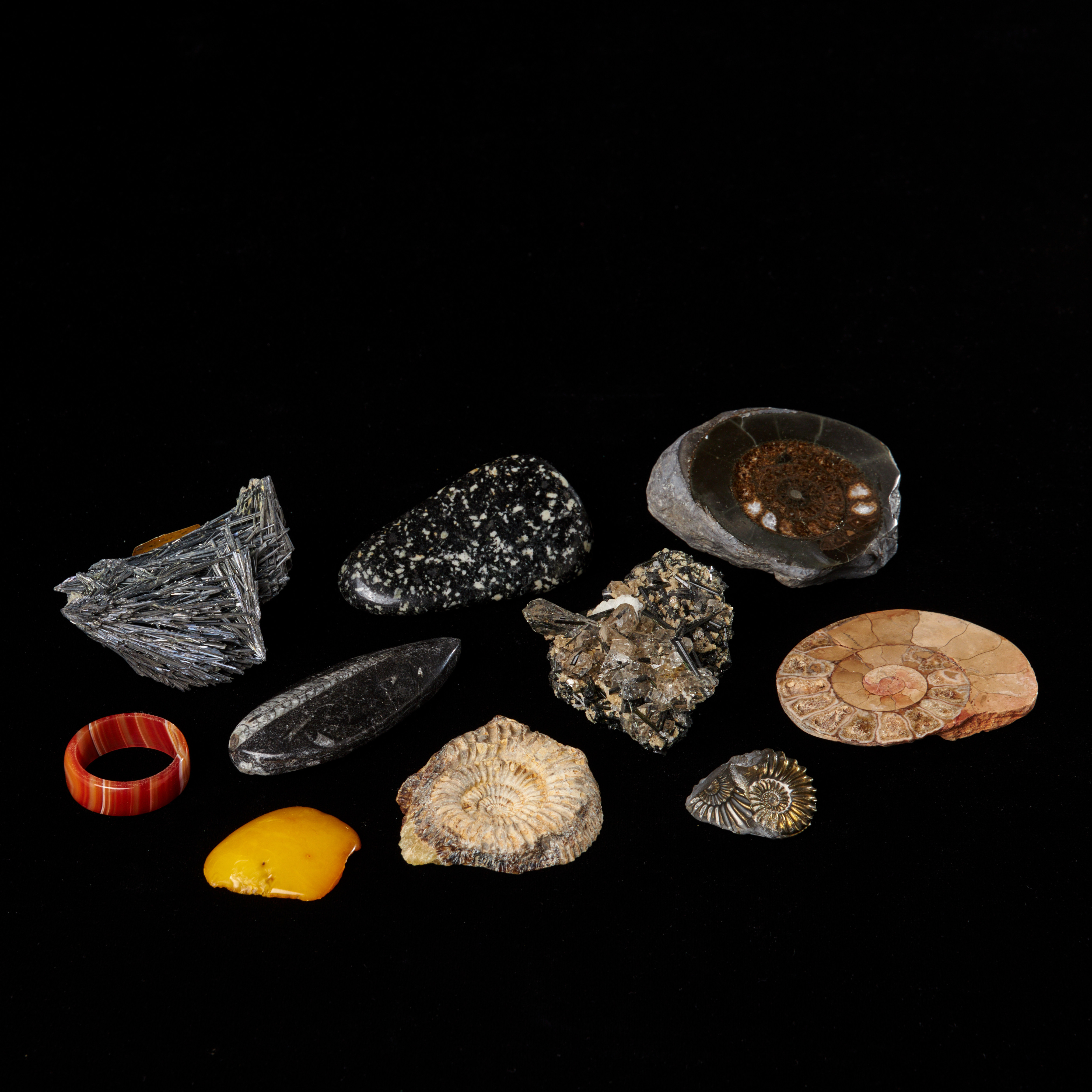 MINERALER och FOSSILER, 10 st, ammoniter, ortoceratit, stibin, bärnsten, ring i agat, trumlad porfyr.