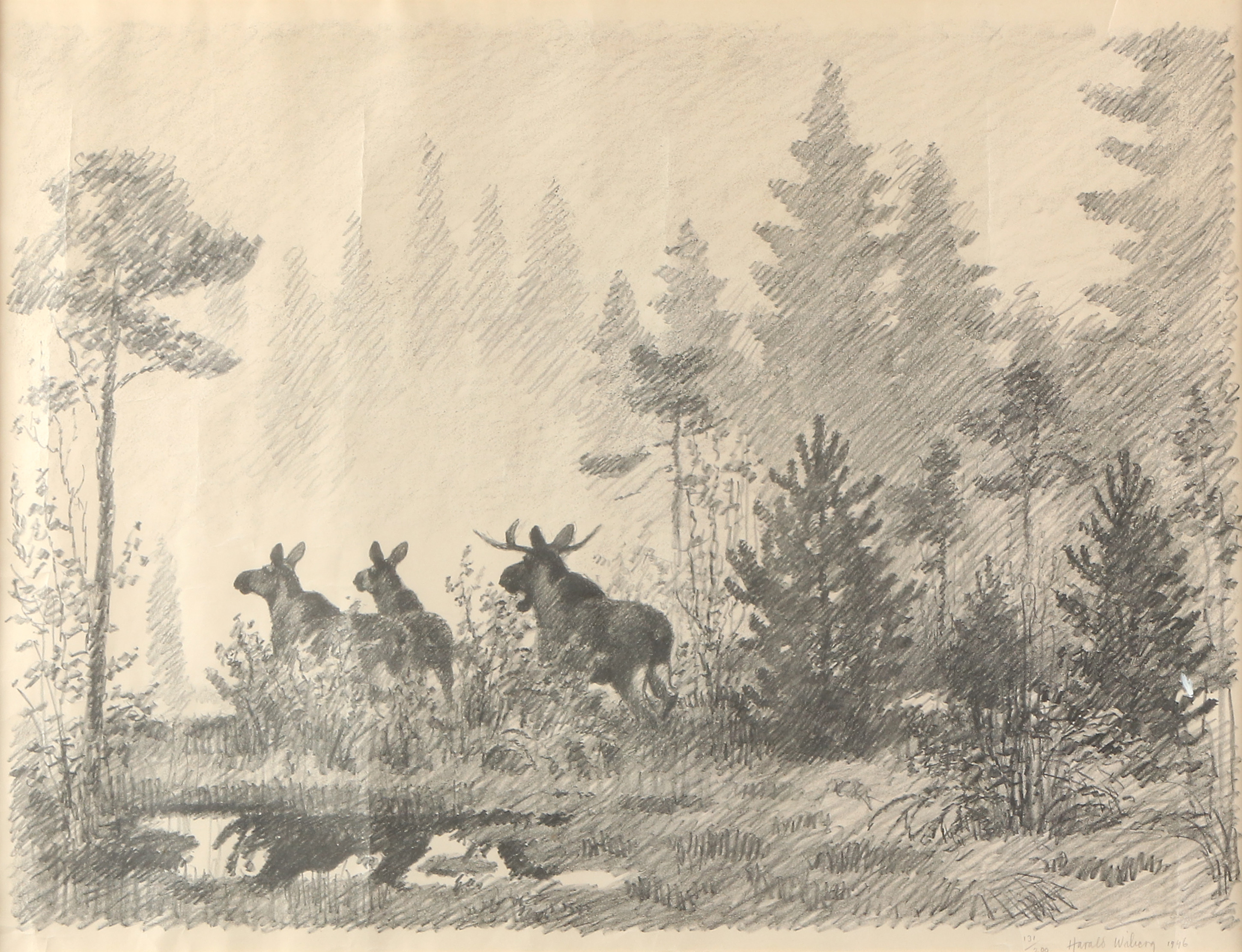 HARALD WIBERG. Litografi, 131/200. Älgar i skogslandskap. Signerad.