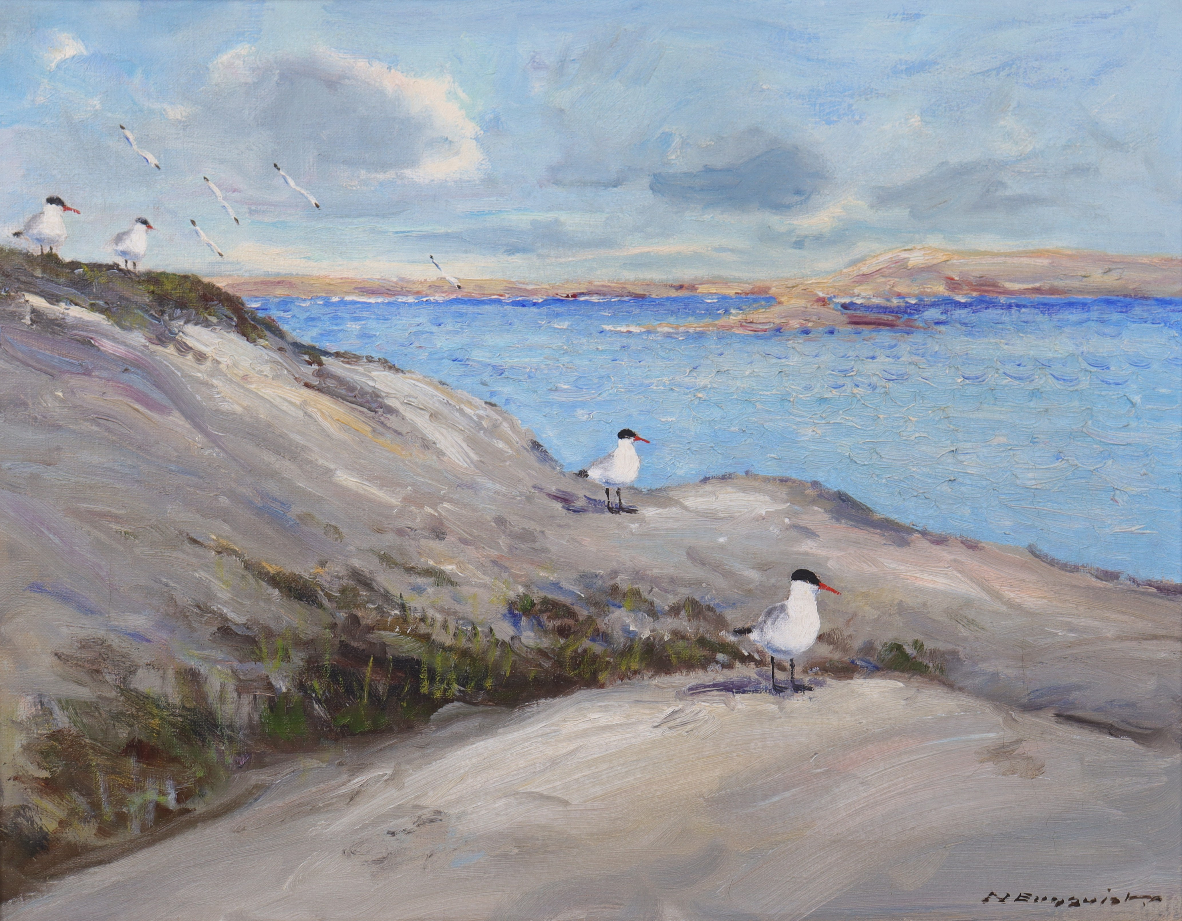 NILS ENQUIST (1905-1991). olja på duk, "Skräntärnor, Västkusten".