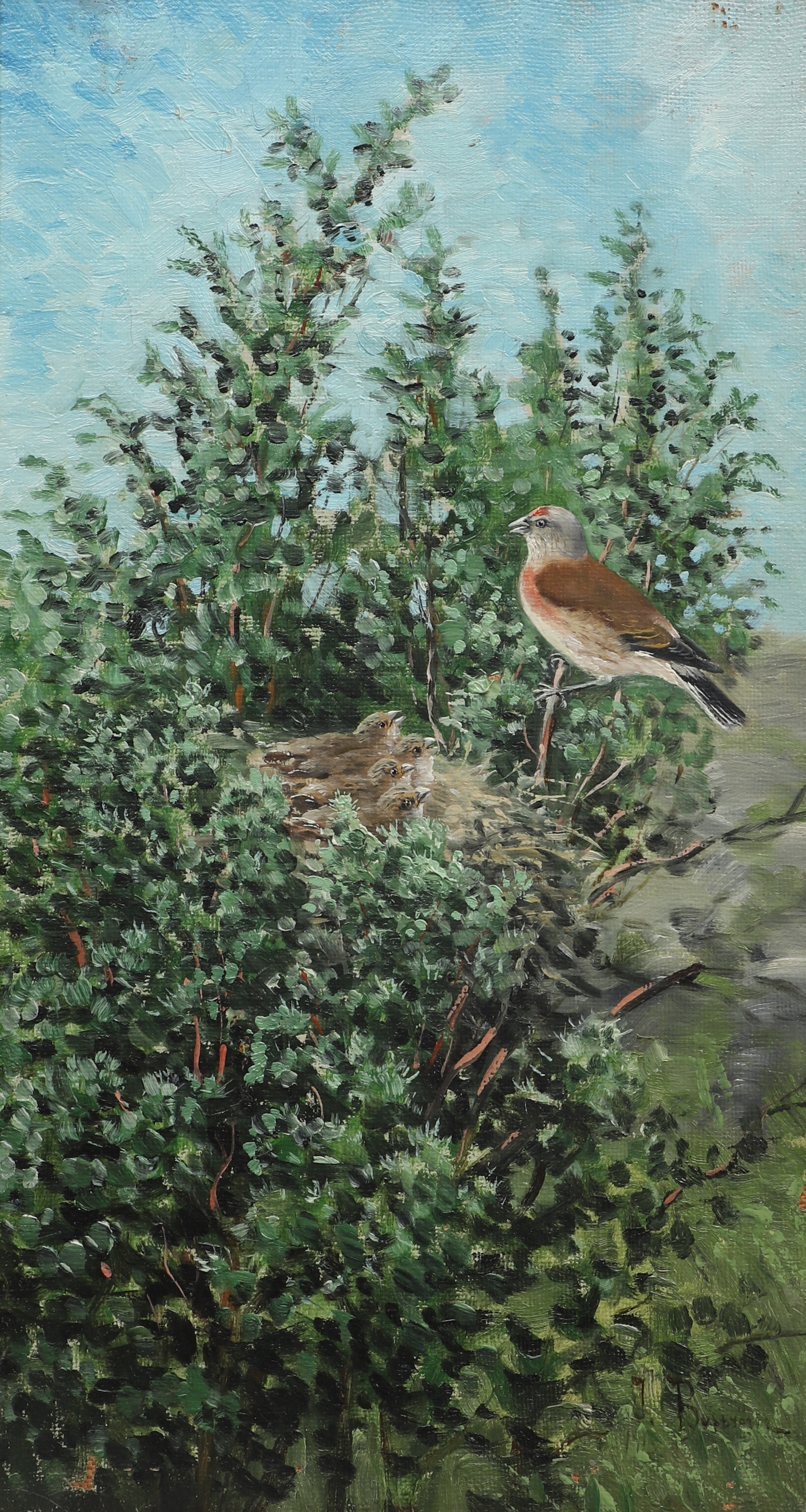 JOHAN BOSTRÖM. Olja på duk, fåglar i trädkrona, signerad, daterad 1915.