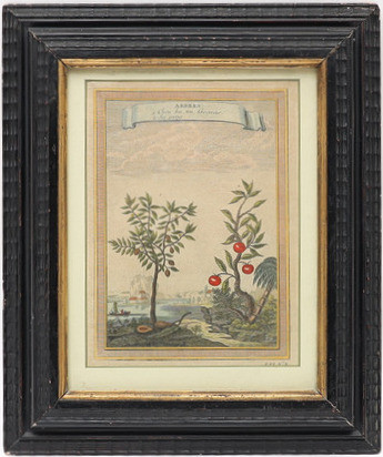 OKÄND KONSTNÄR. Handkolorerat kopparstick, 1700-1800-tal.