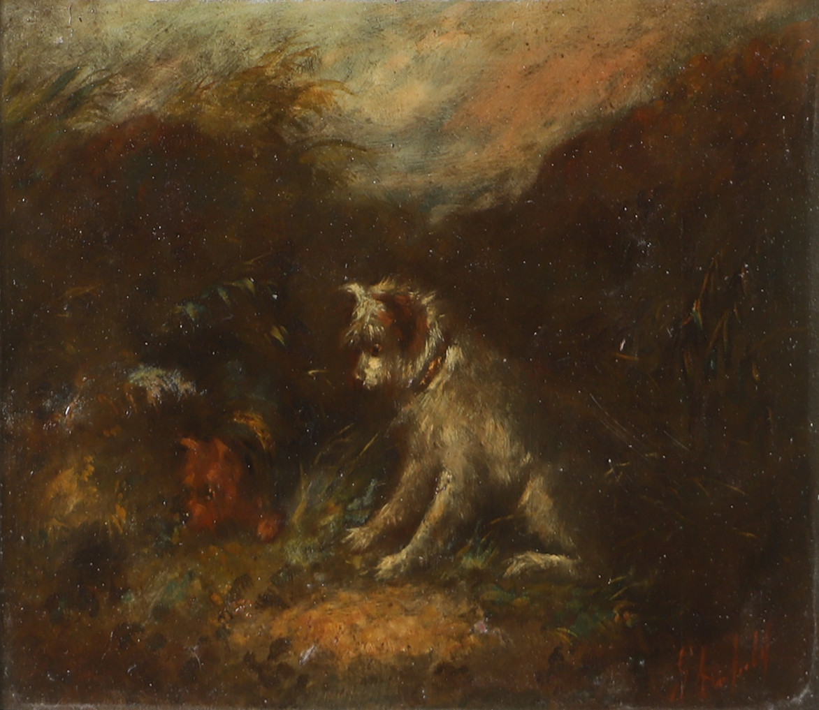 GEORGE ARMFIELD. Hundar, olja på pannå, signerad G Armfield.