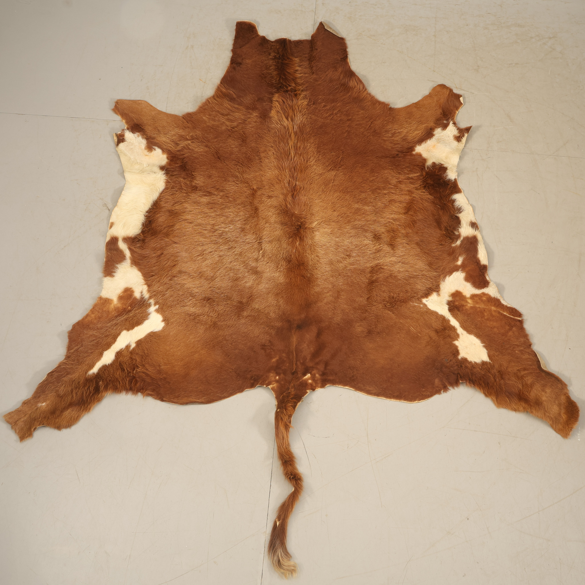 KOHUD / SKINN, brun, vit, 170x170 cm.