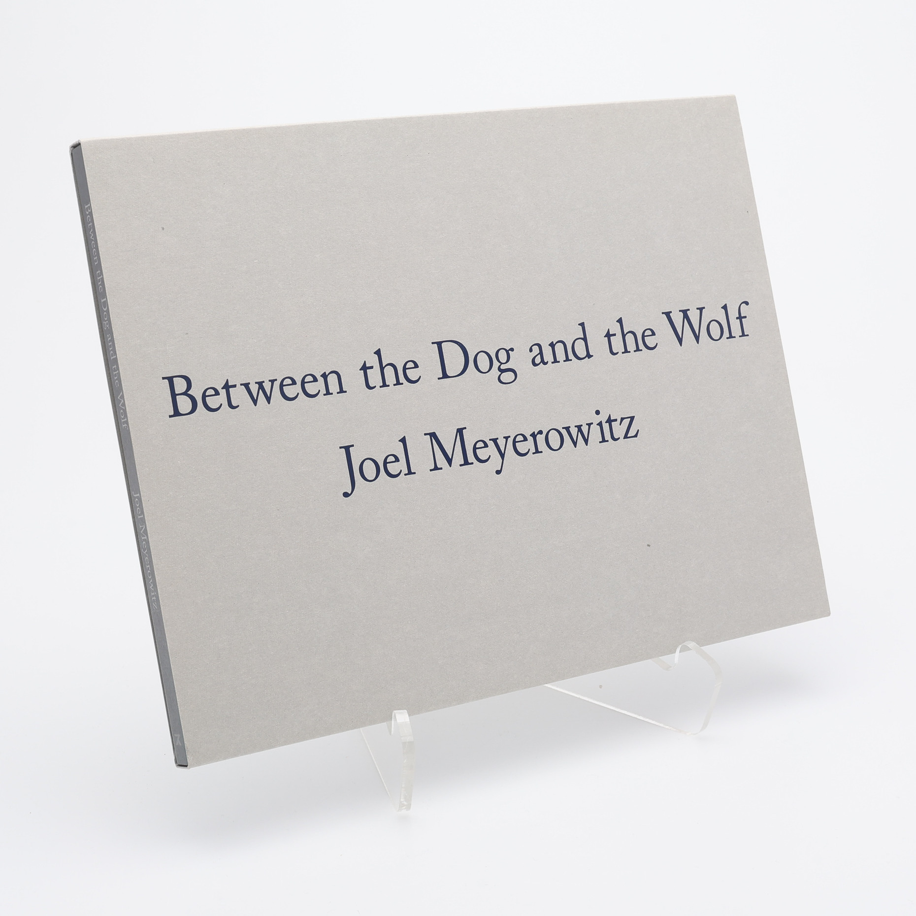 FOTO. DEN AMERIKANSKE FOTOGRAFEN JOEL MEYEROWITZS "BETWEEN THE DOG AND THE WOLF" I FÖRSTA UPPLAGAN, 2013.