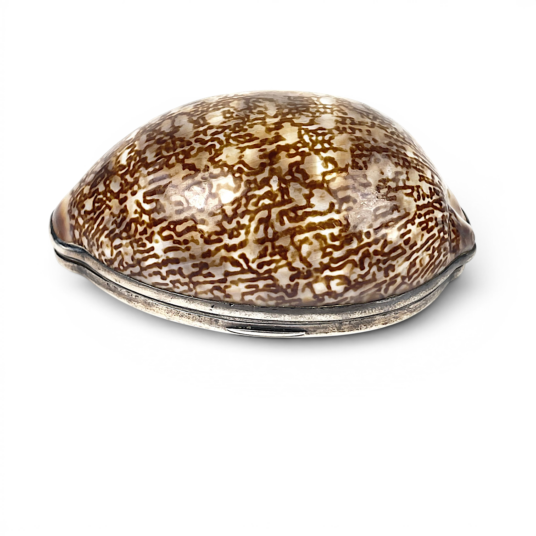 SNUSDOSA, snäcka med montering i låghaltigt silver 1800-tal.