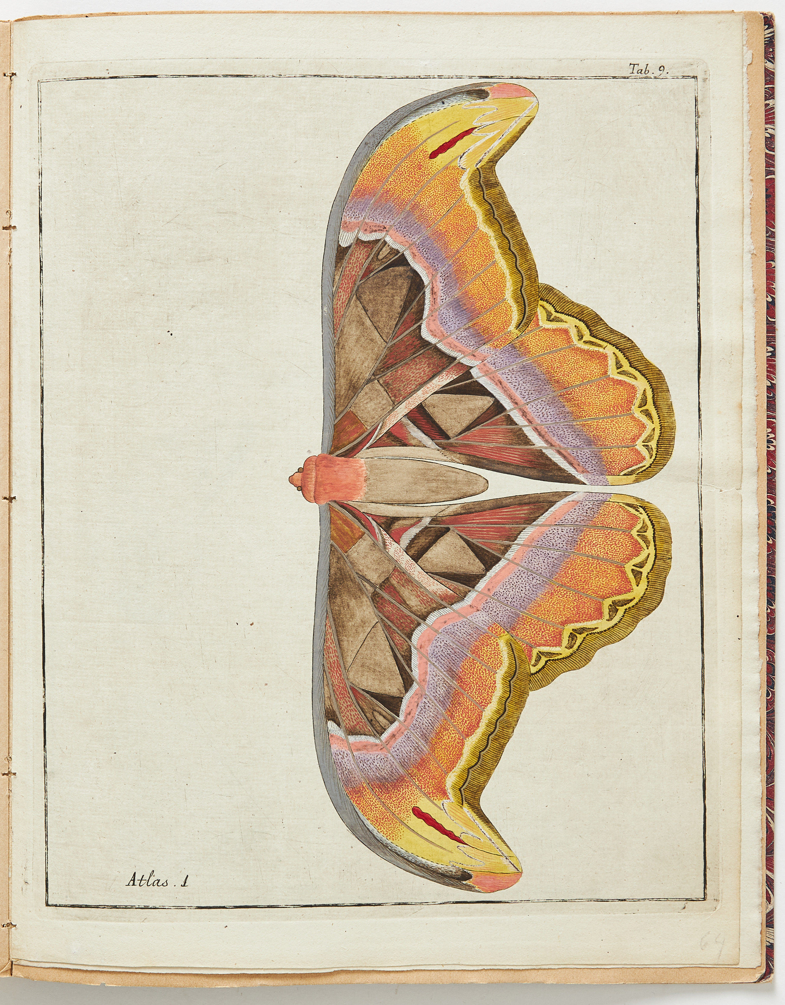 CLERCKS SÄLLSYNTA VERK OM FJÄRILAR, Icones insectorum rariorum, 1759-64.