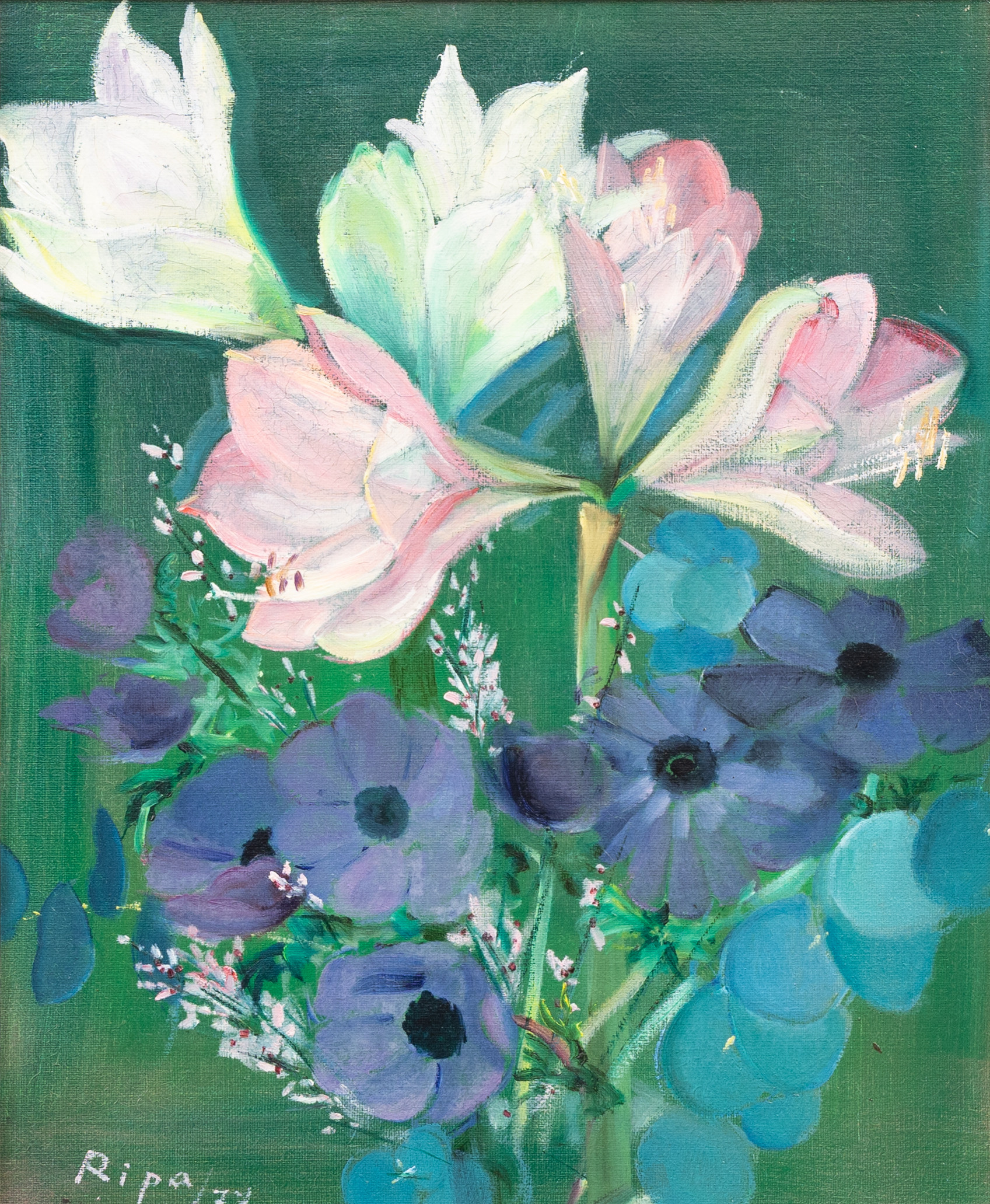 HANS RIPA. "Vit amaryllis", olja på duk, signerad och daterad, Ripa -77.