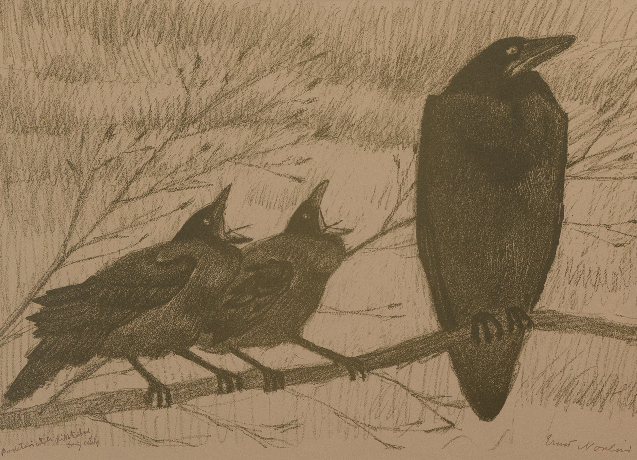 ERNST NORLIND. Litografi, kråkor på gren, signerad.