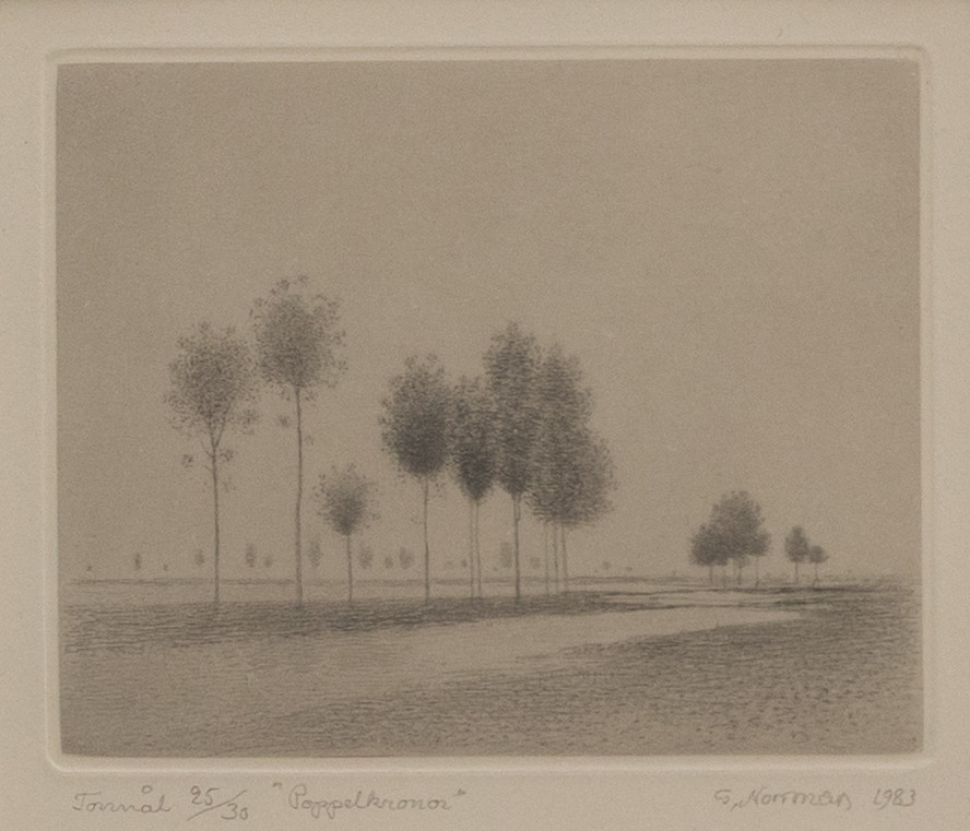 GUNNAR NORRMAN. "Poppelkronor", torrnål nr 25/30, signerad.