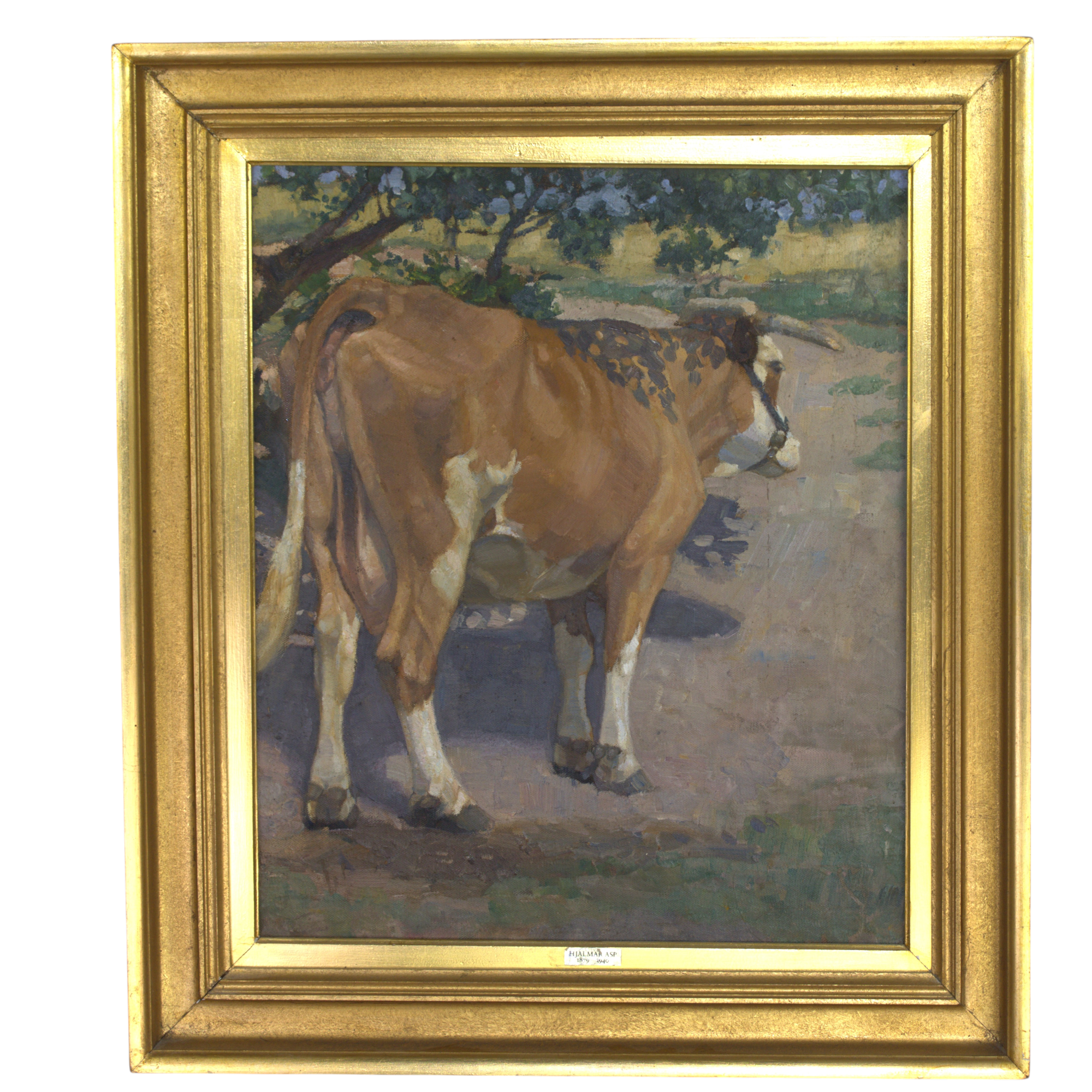 HJALMAR ASP. Olja på duk, "Oxe under träd", signerad a tergo, 1904.