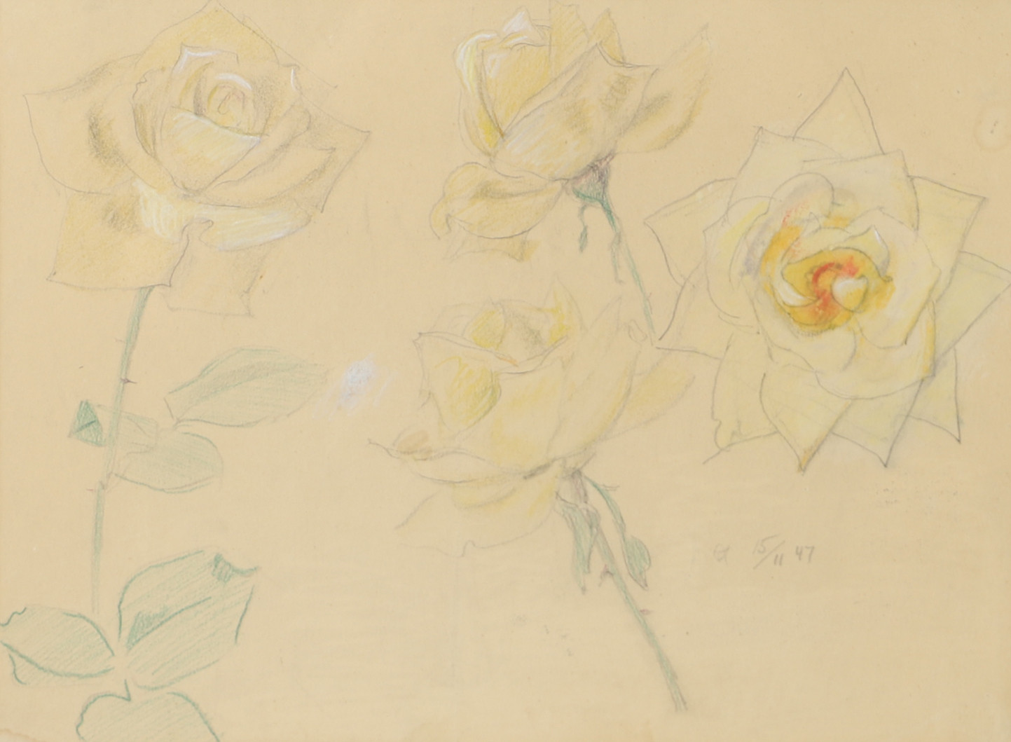 OLLE HJORTZBERG. Blommor, teckning, monogramsignerad 15/11 -47.