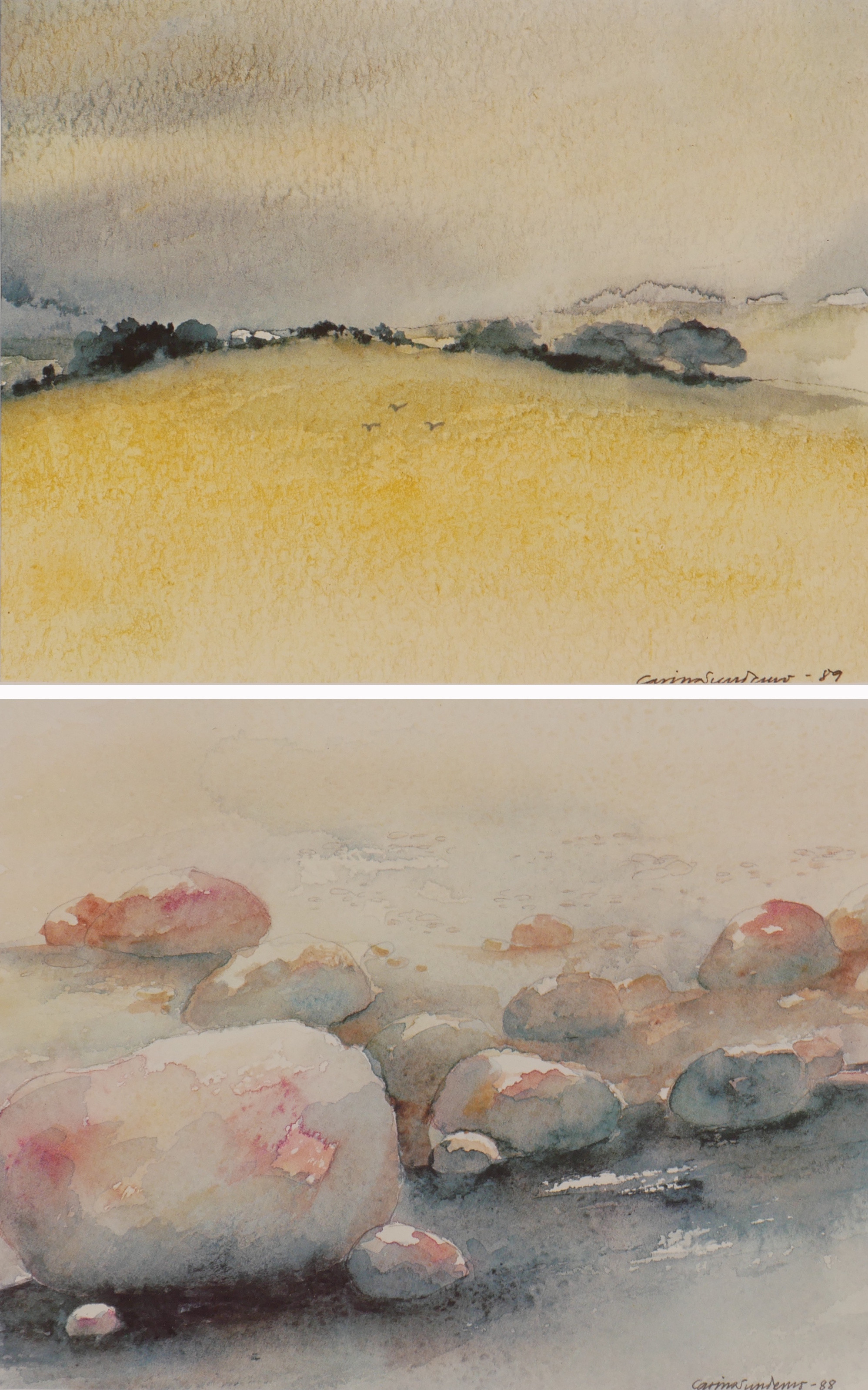 CARINA SUNDEMO. Tavlor, 2 st, akvareller, signerade.