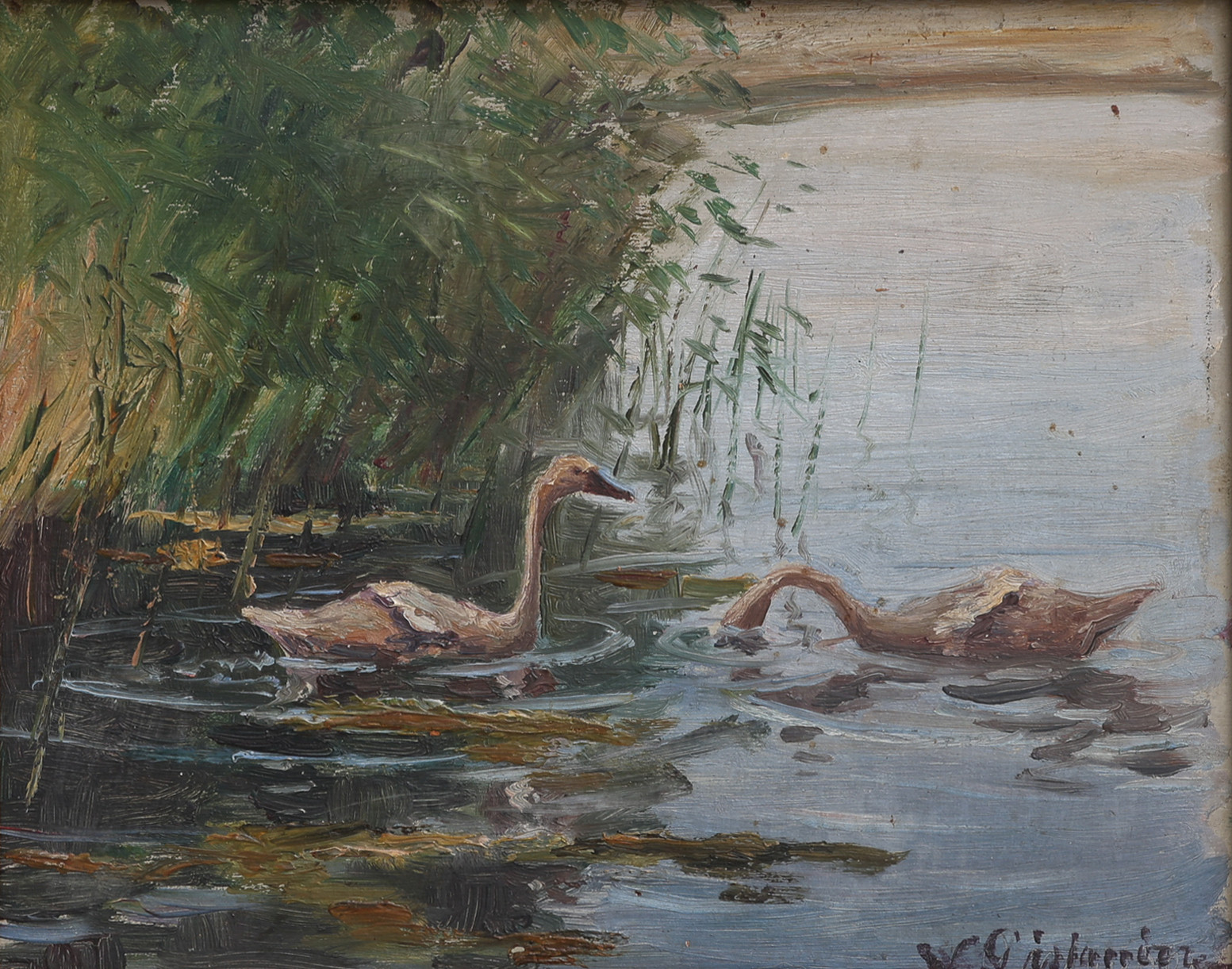 WILLIAM GISLANDER (1890-1037), TVÅ UNGA SÅNGSVANAR, signerad olja på pannå.