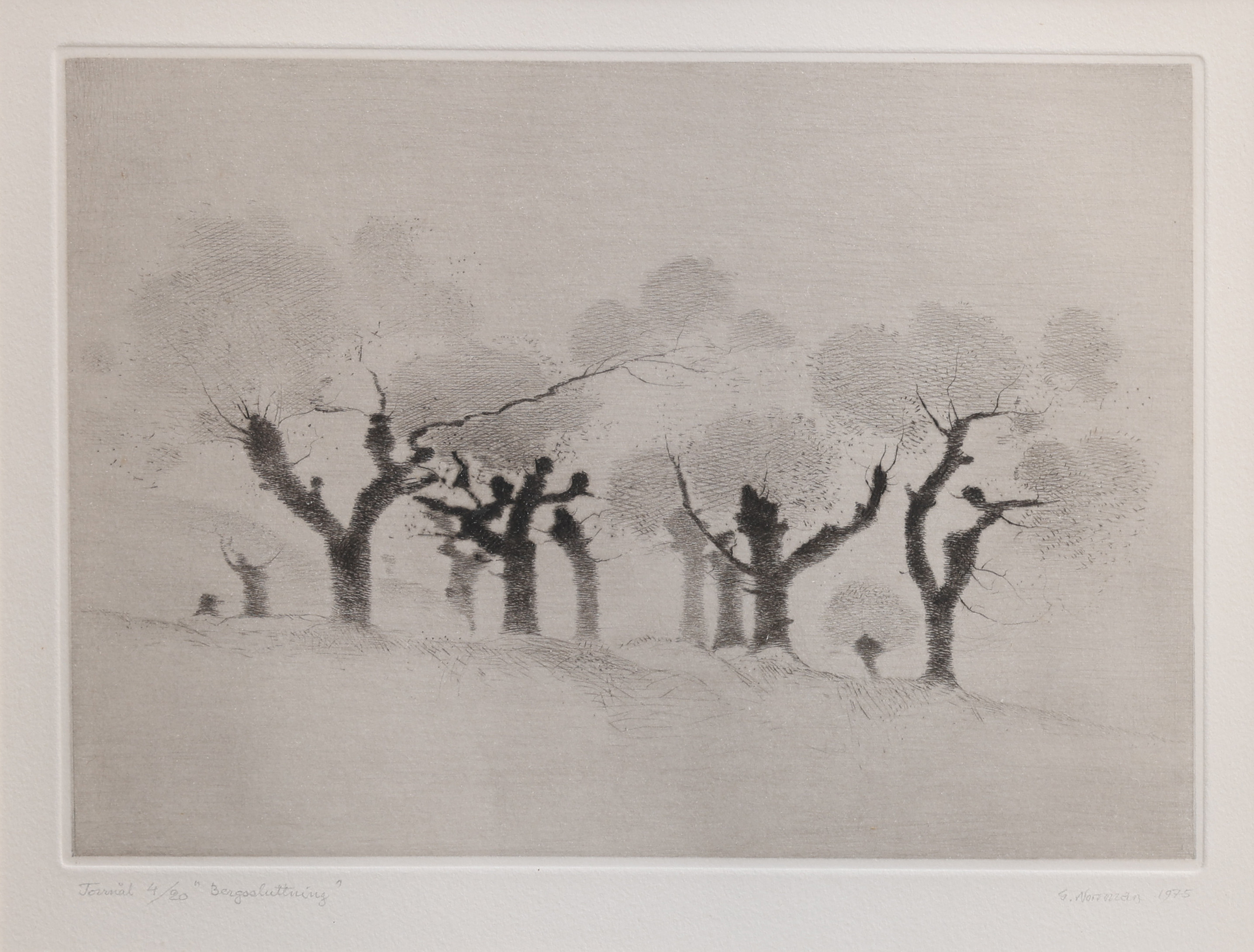 GUNNAR NORRMAN. TORRNÅL, "BERGSSLUTTNING", SIGNERAD, NUMRERAD 4/20 OCH DATERAD 1975.