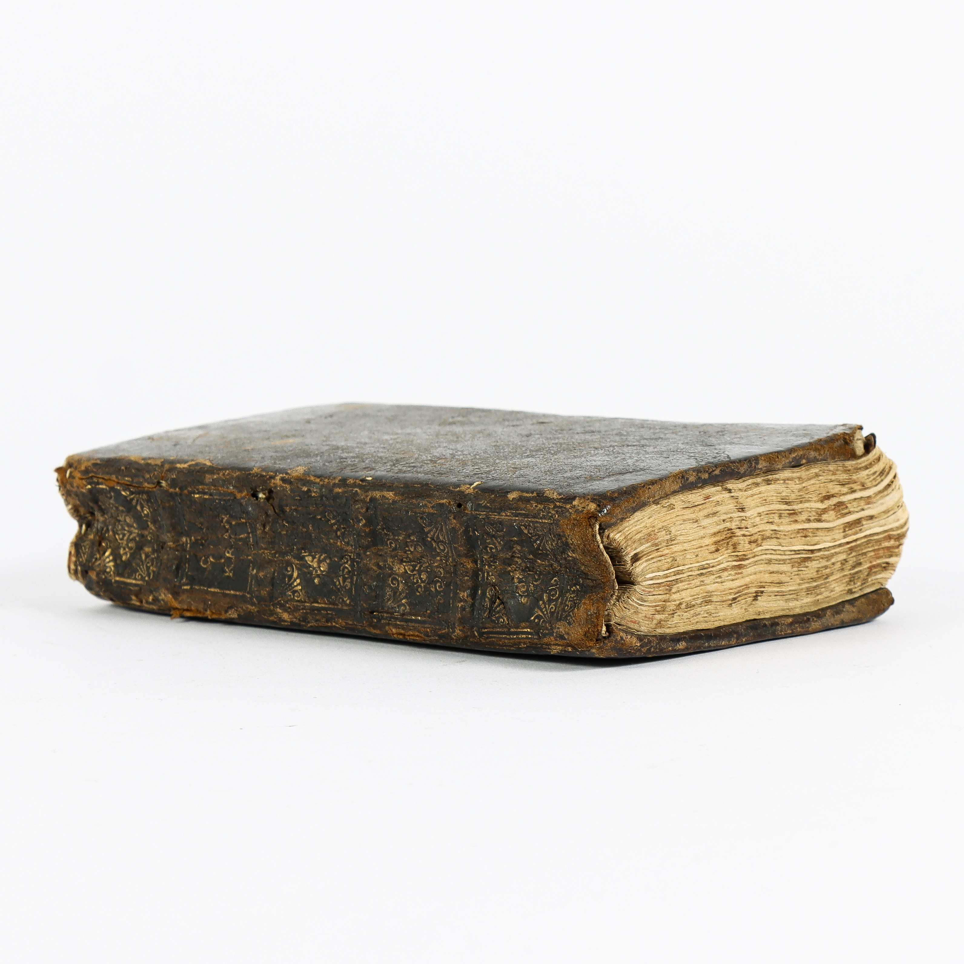JOHANNE PALMBERG. Bok Serta Florea Svecana 1684, Den första illustrerade svenska örtaboken.