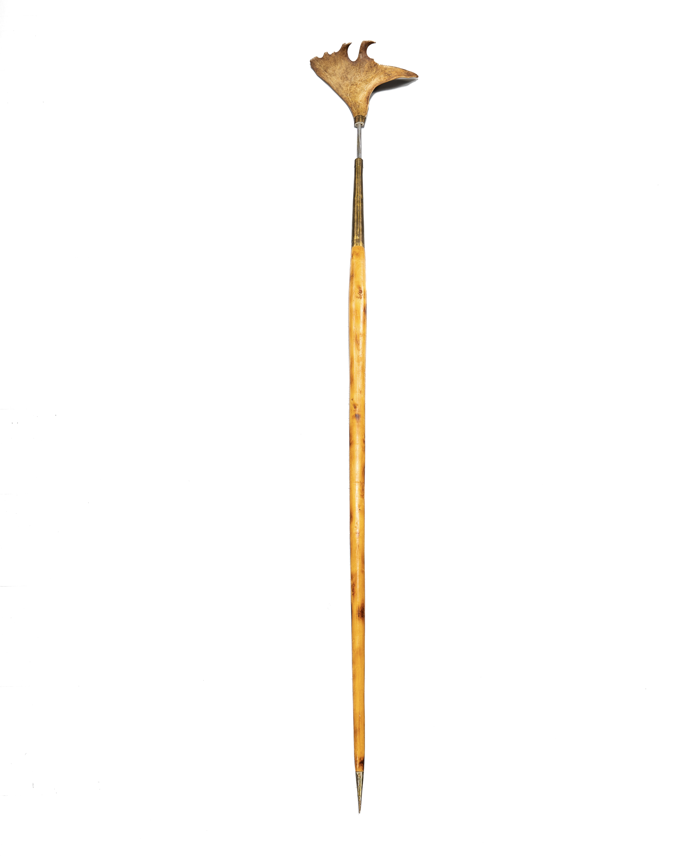 OKÄND KONSTNÄR. Björnspjut/saidiglakka, 1900 tal, björk, horn.