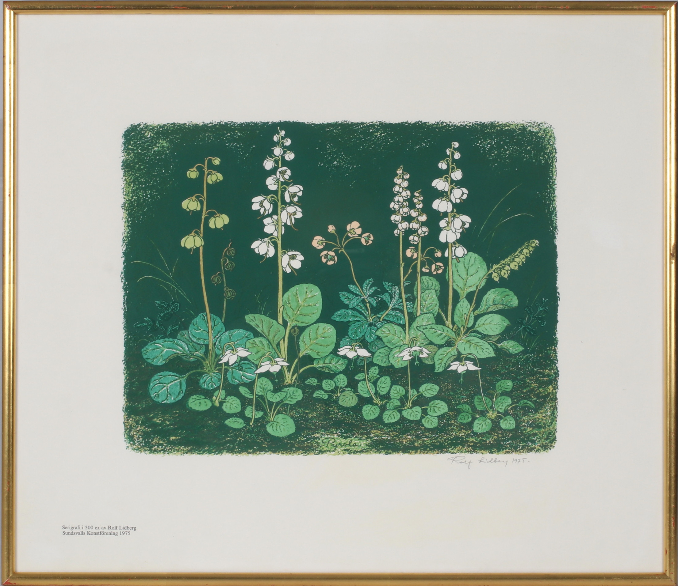 ROLF LIDBERG. Blomster, seriegrafi, signerad och daterad 1975.