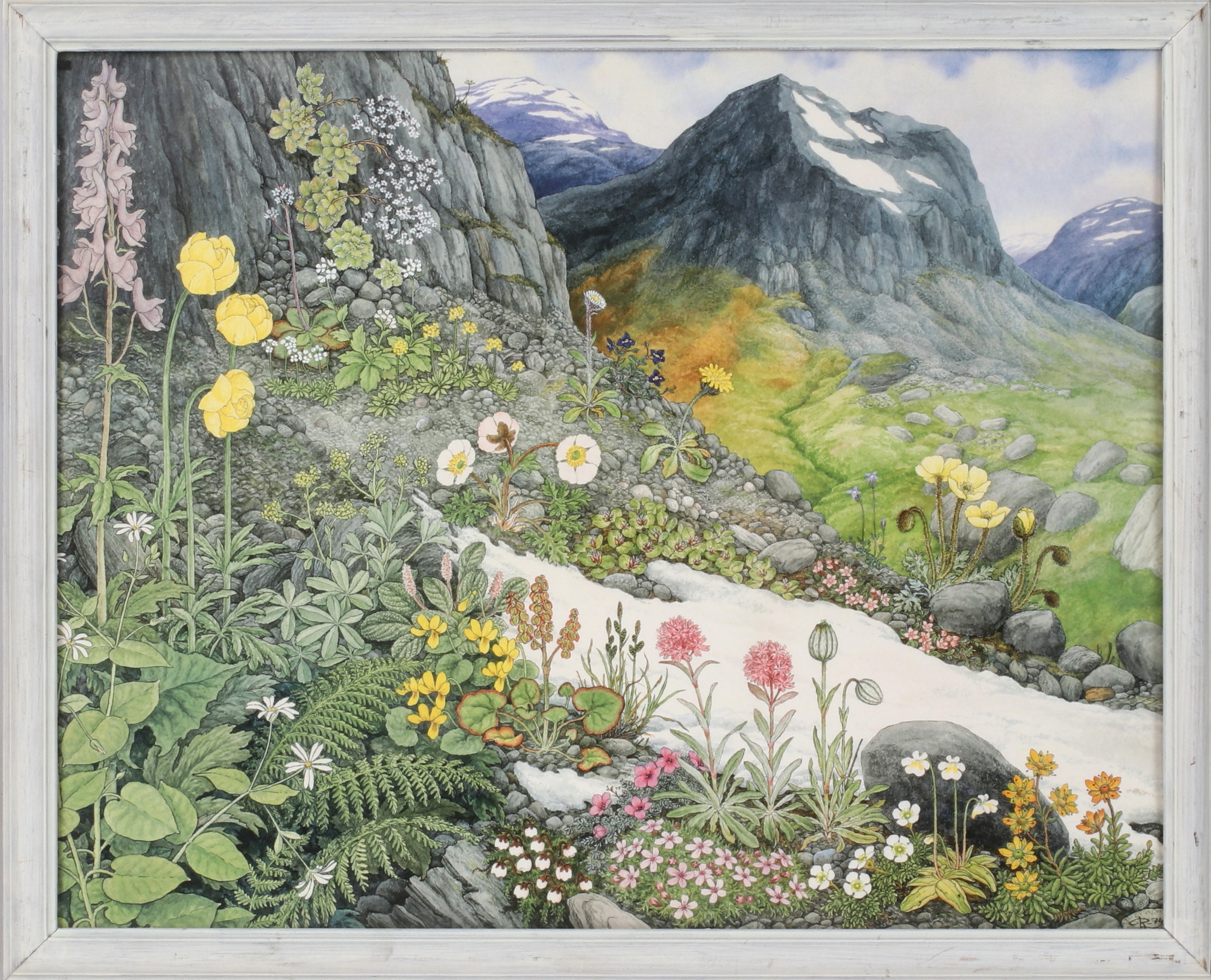 ROLF LIDBERG. Fjällflora, tryck, signerad i trycket.