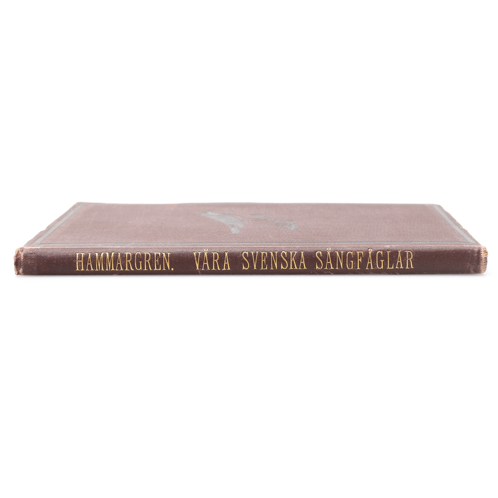 ORNITOLOGI. TULIUS HAMMARGRENS OM VÅRA SVENSKA SÅNGFÅGLAR, ORNITOLOGISKT UTKAST 1889.