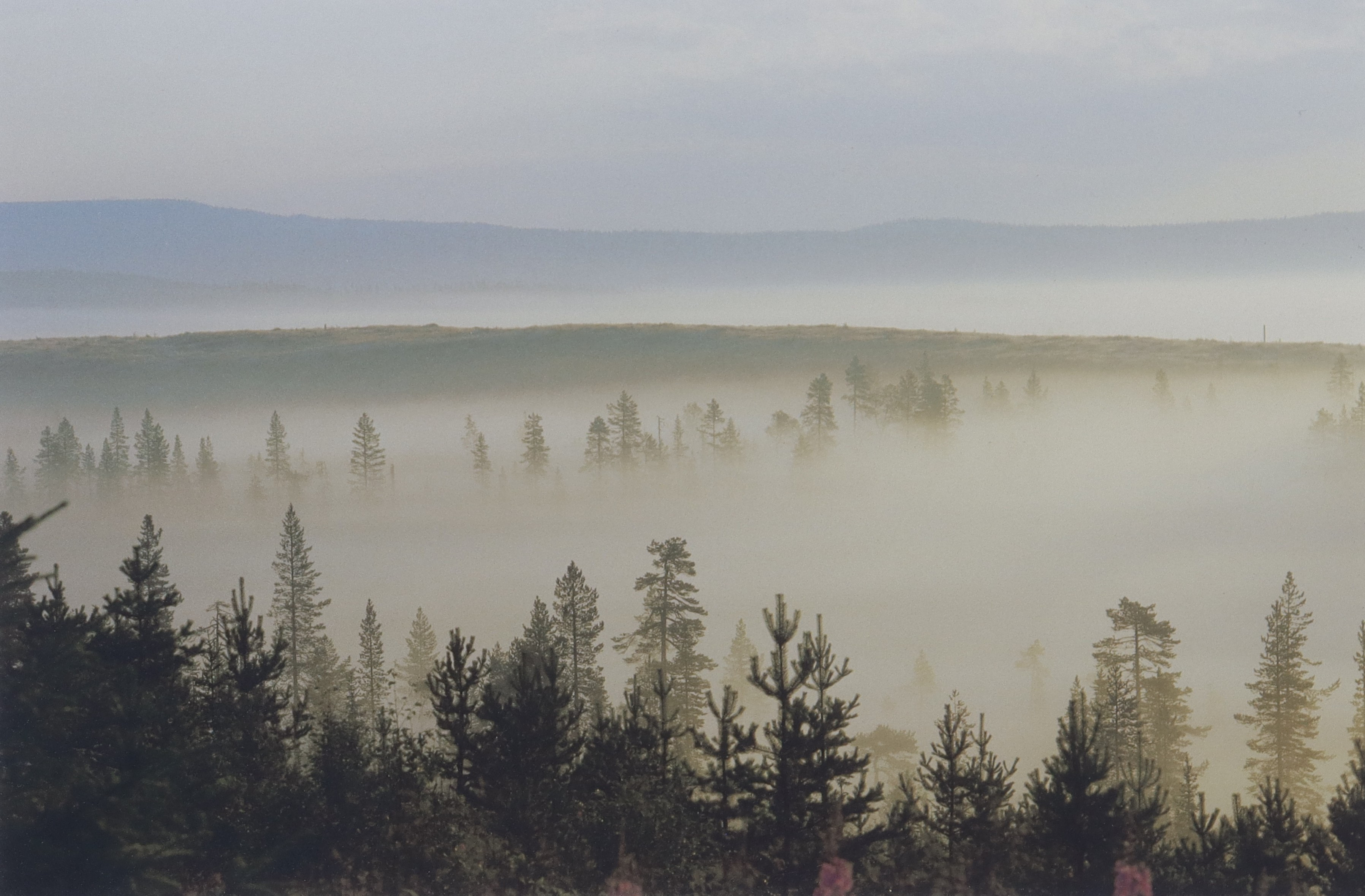 ANDERS BJÖRKLUND. fotografi, "Morgondimma mellan bergen - Prästvallen".