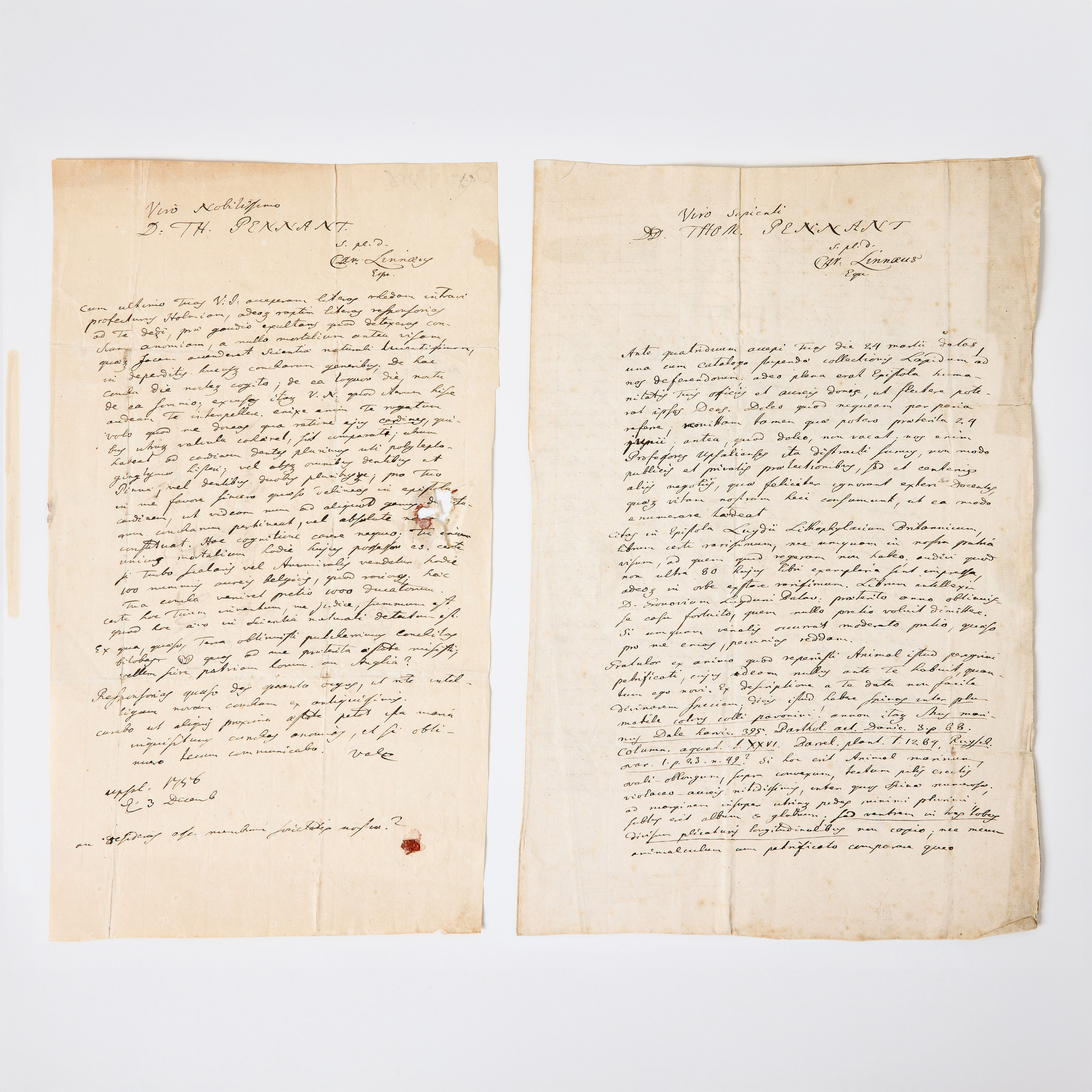 LINNAEUS'S TWO AUTOGRAPH LETTERS TO THOMAS PENNANT, 1756, one with drawings by Linnaeus.