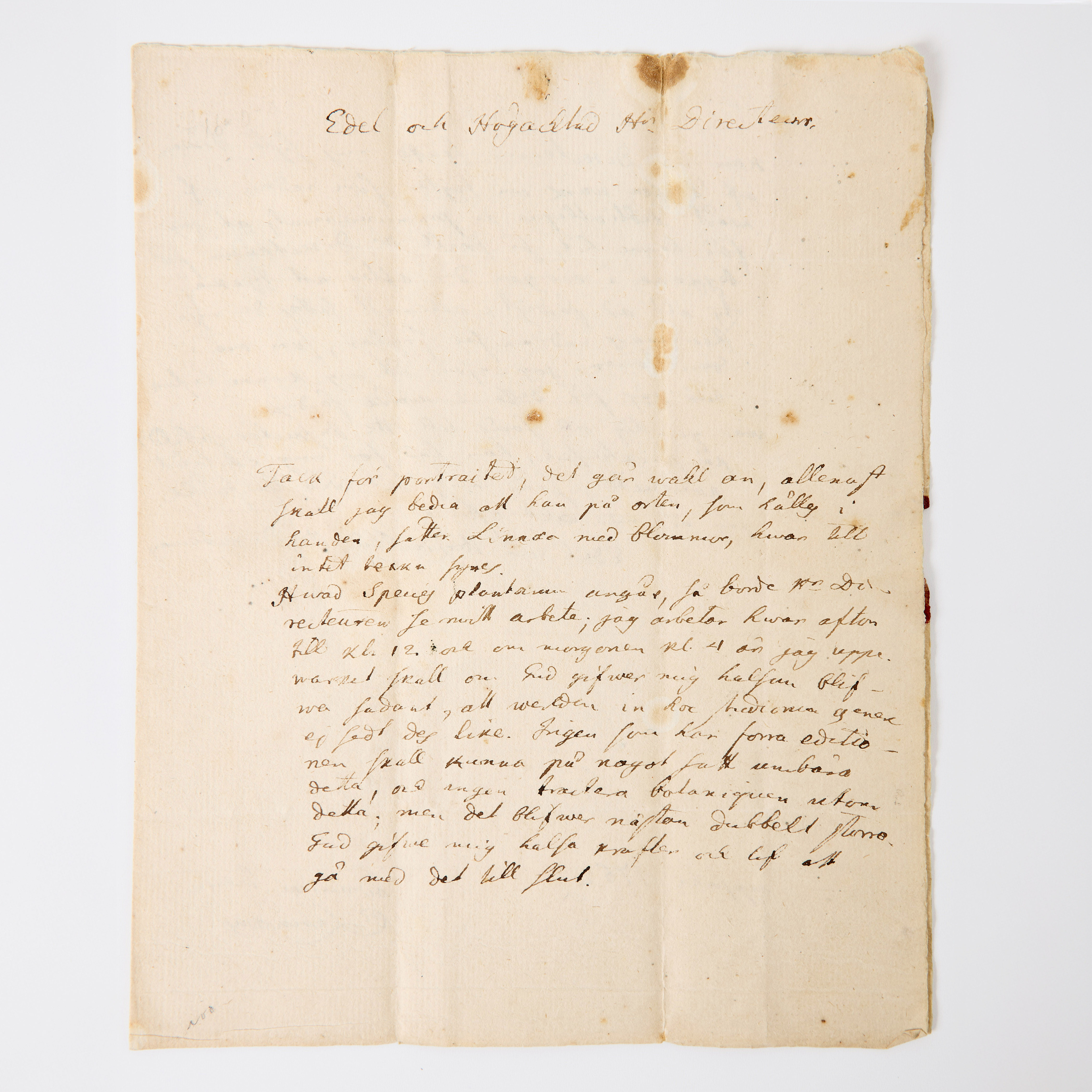 LINNÉ TO LARS SALVIUS, UPPSALA 1762, regarding Species Plantarum.