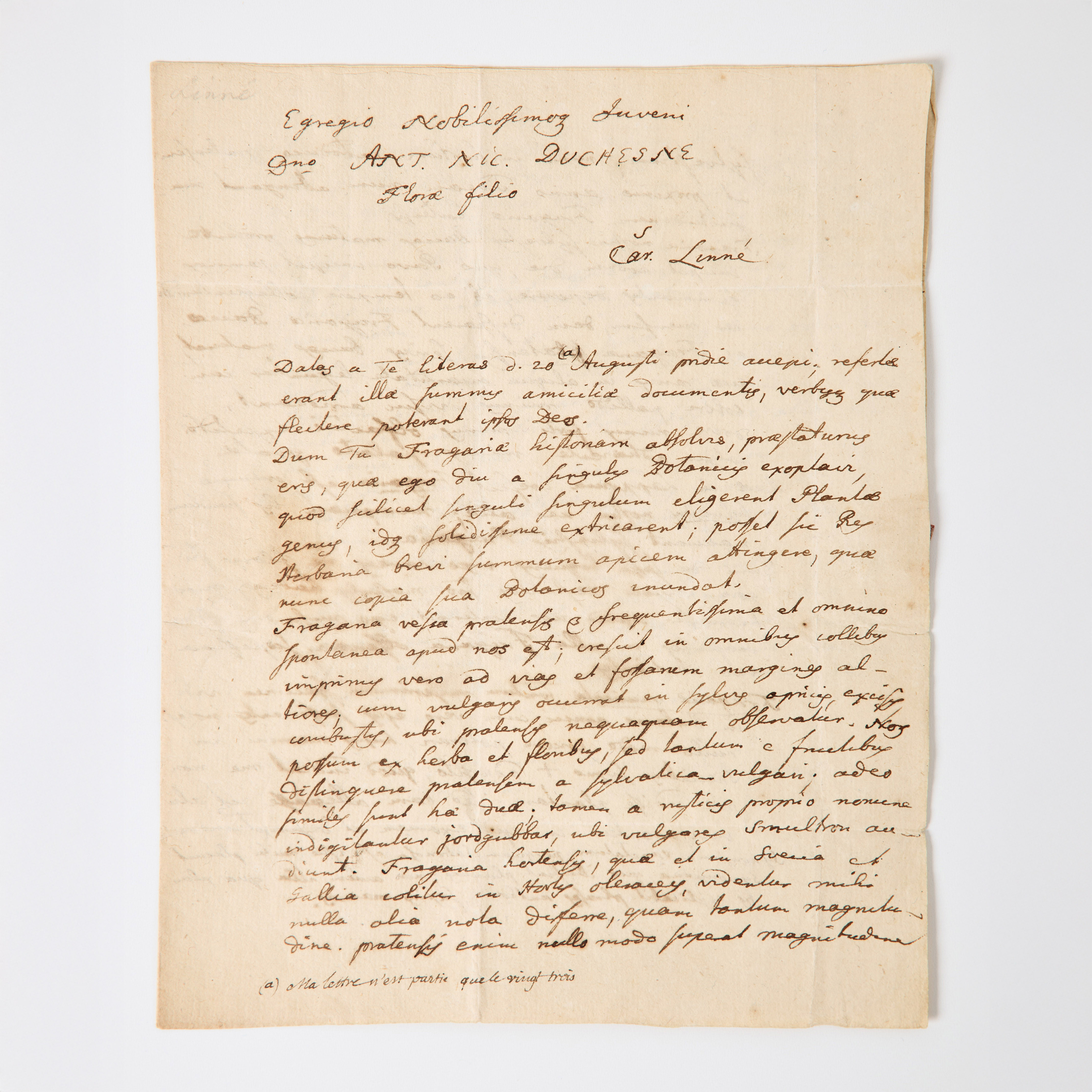 LINNAEUS'S AUTOGRAPH LETTER TO DUCHESNE, 1765, on wild strawberries.