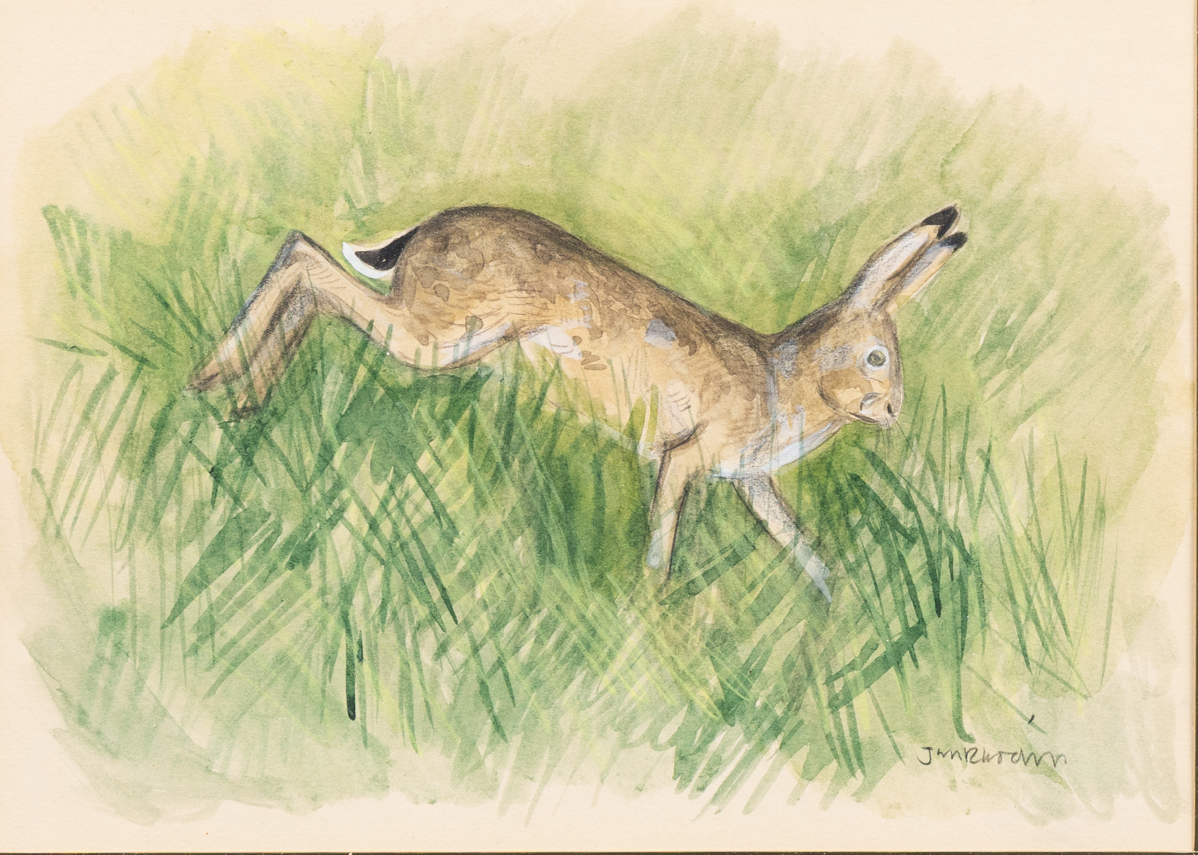 JAN RHODIN (1938-2022). Hare, akvarell, signerad.
