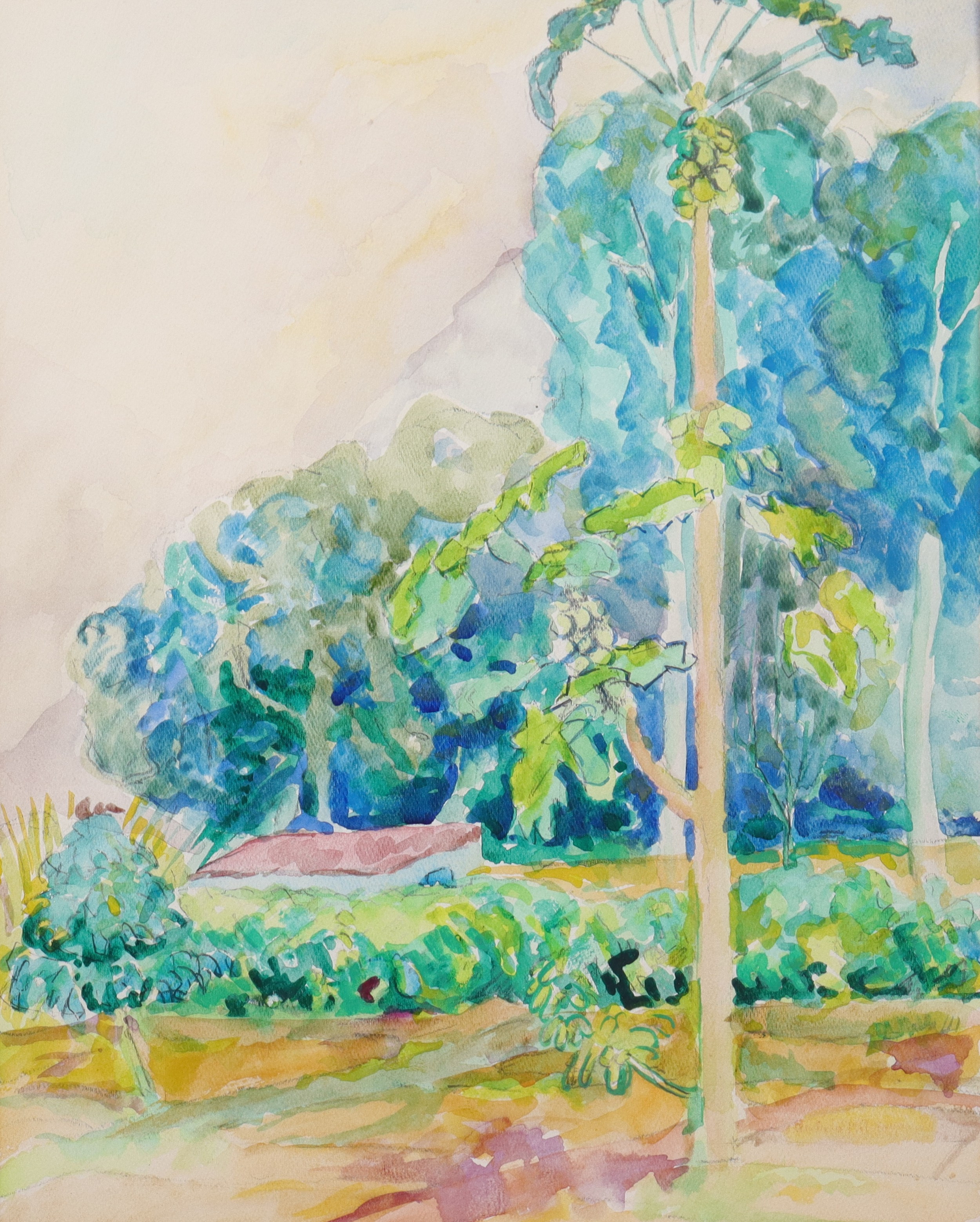 BOTVID KIHLMAN. akvarell, "Landskap med Papayaträd".