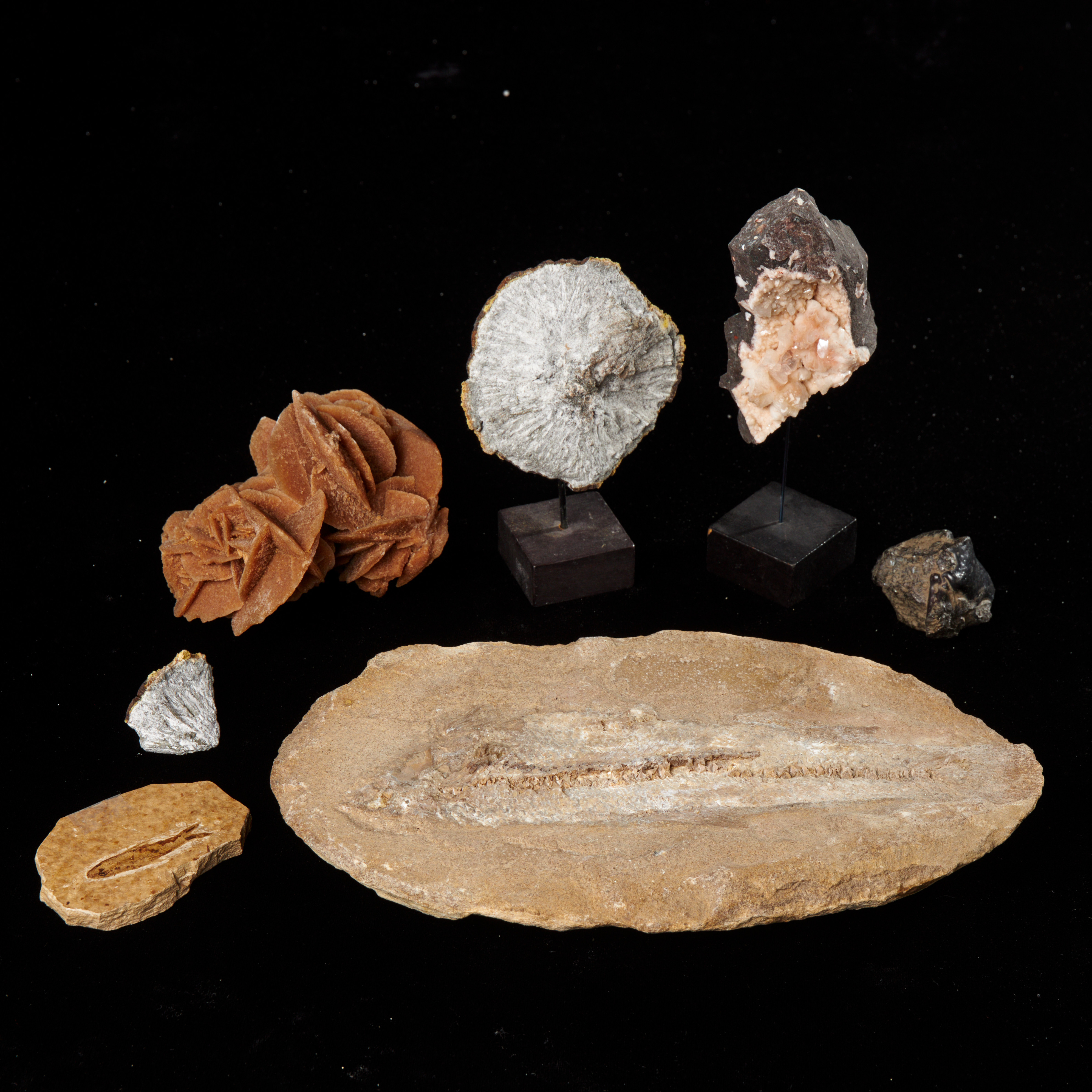 FOSSILER och MINERALER, 6 dlr, apofylit och markasit monterade på socklar, två fiskfossiler, ökenros (gips) samt naturligt järn.
