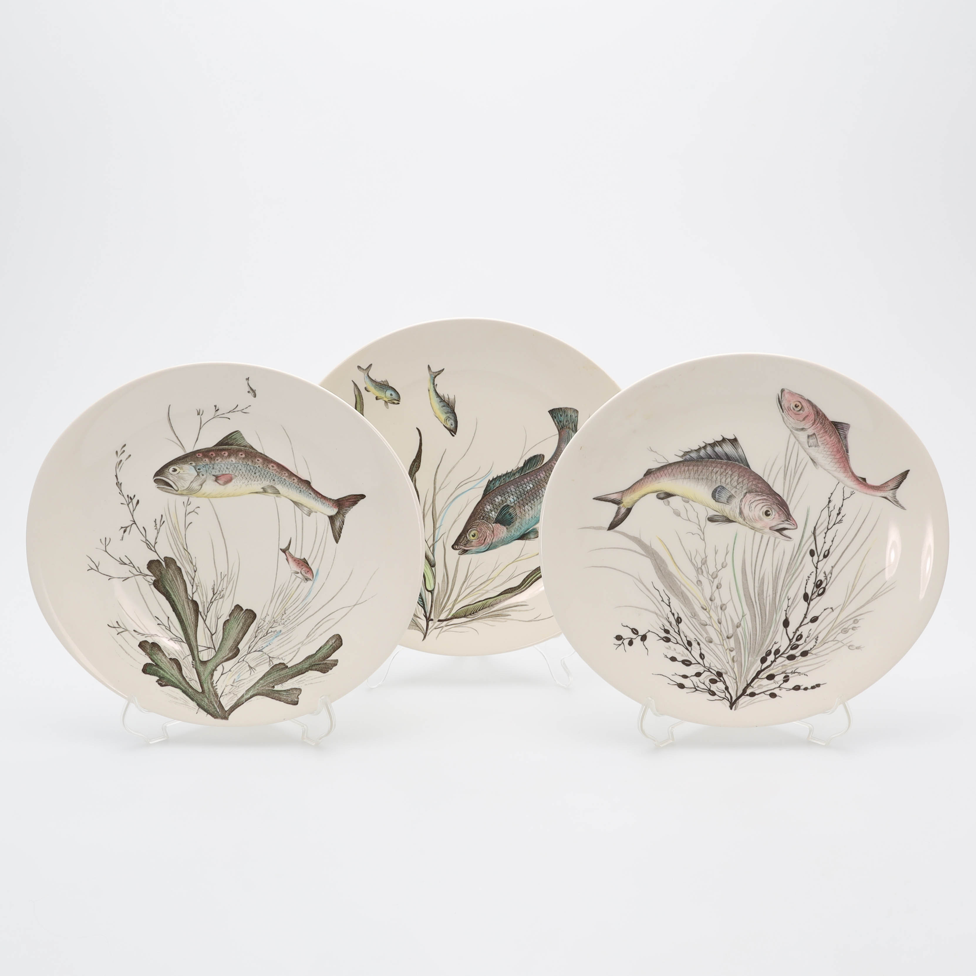 TALLRIKAR, 6 st, porslin, "Fish", Johnson Bros, England.