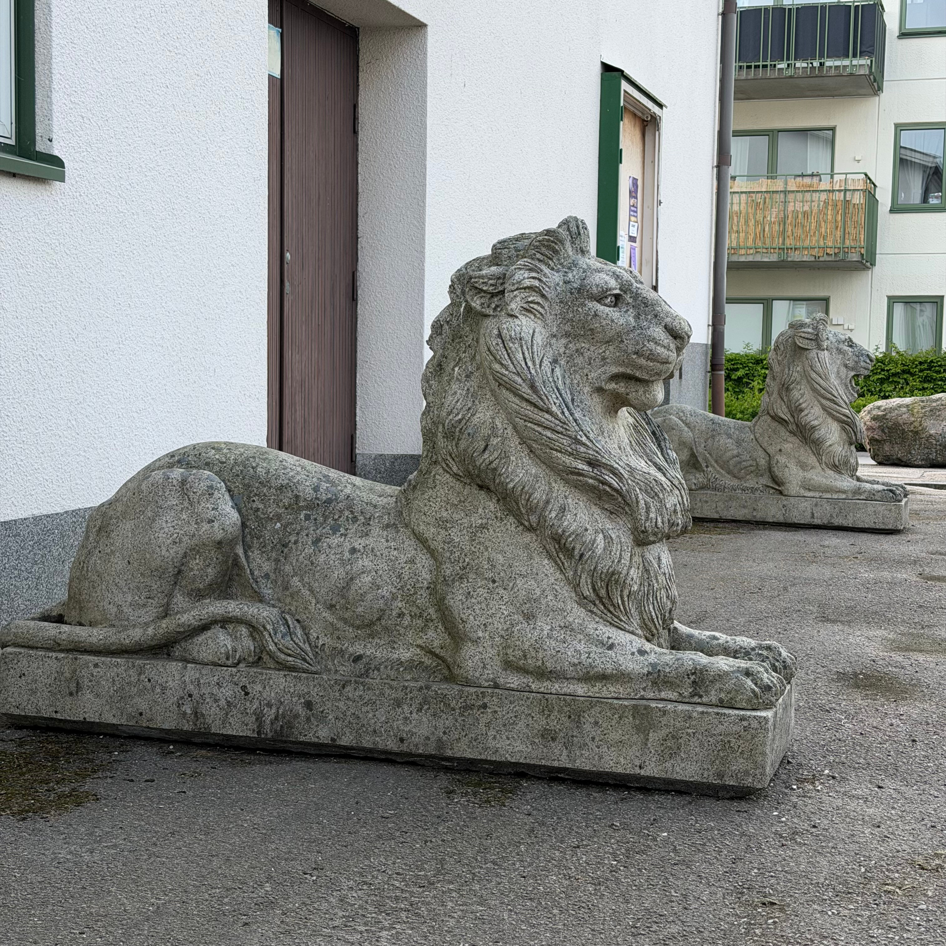 TRÄDGÅRDSSKULPTURER, ett par, Sverige 1900-talets första hälft, i form av liggande lejon.